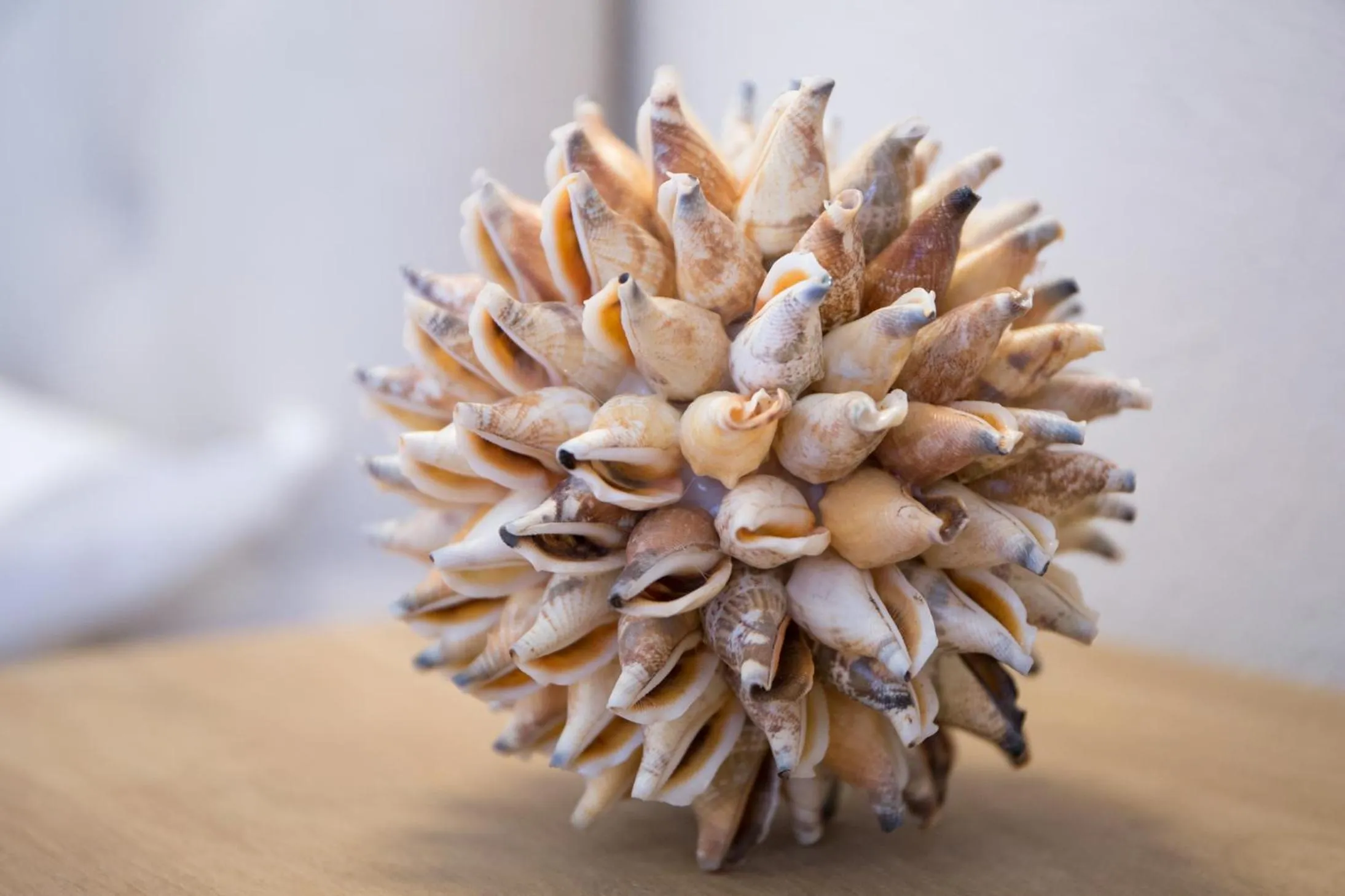 Other in Le Saline Suites