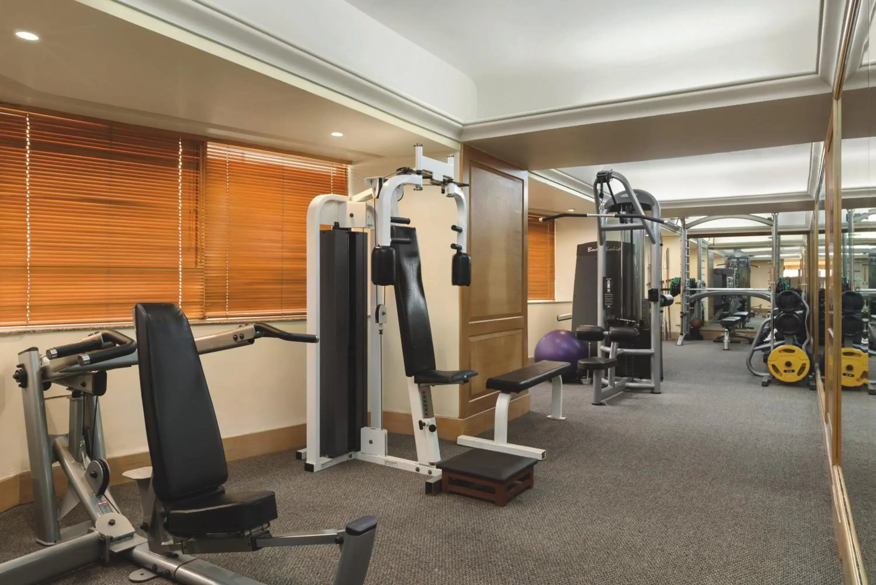 Fitness centre/facilities in Ramada Plaza By Wyndham Palm Grove Fitness centre/facilities in Ramada Plaza By Wyndham Palm Grove