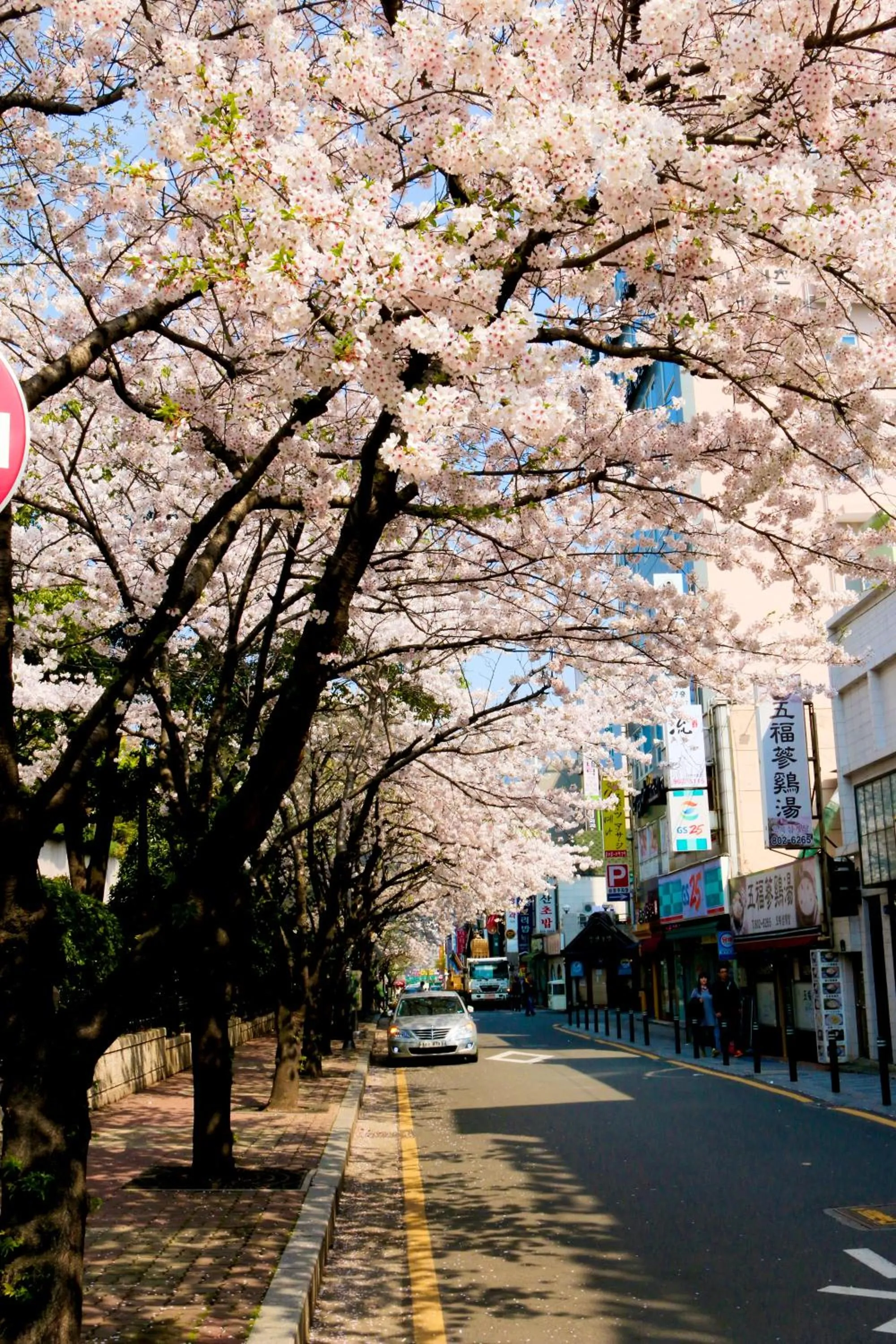 Activities in Lotte Hotel Busan