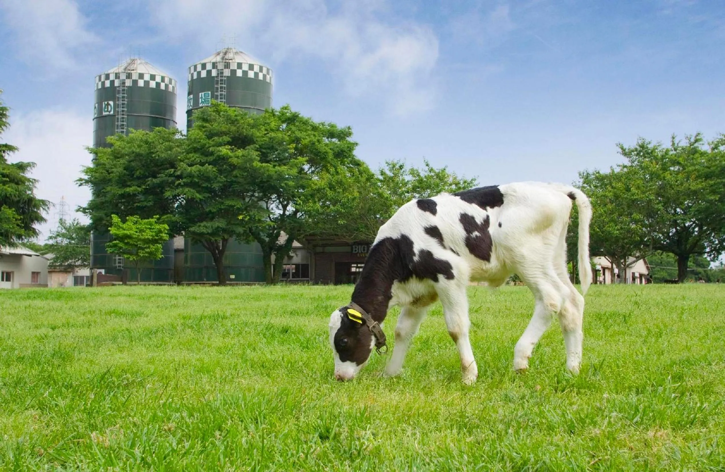 Off site in Narita U-City Hotel