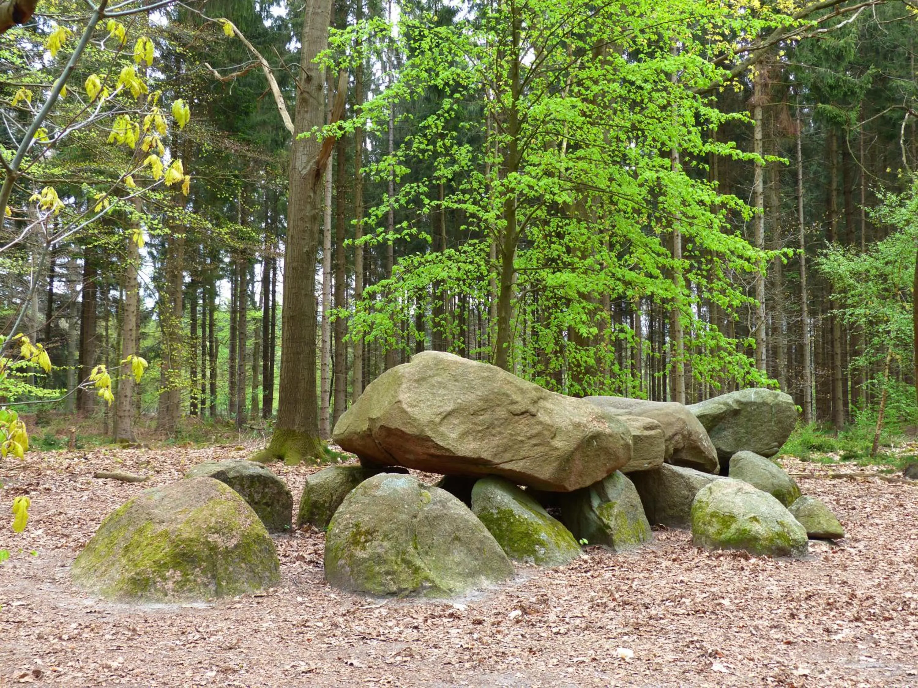 Nearby landmark in Herberg De Eexter Os