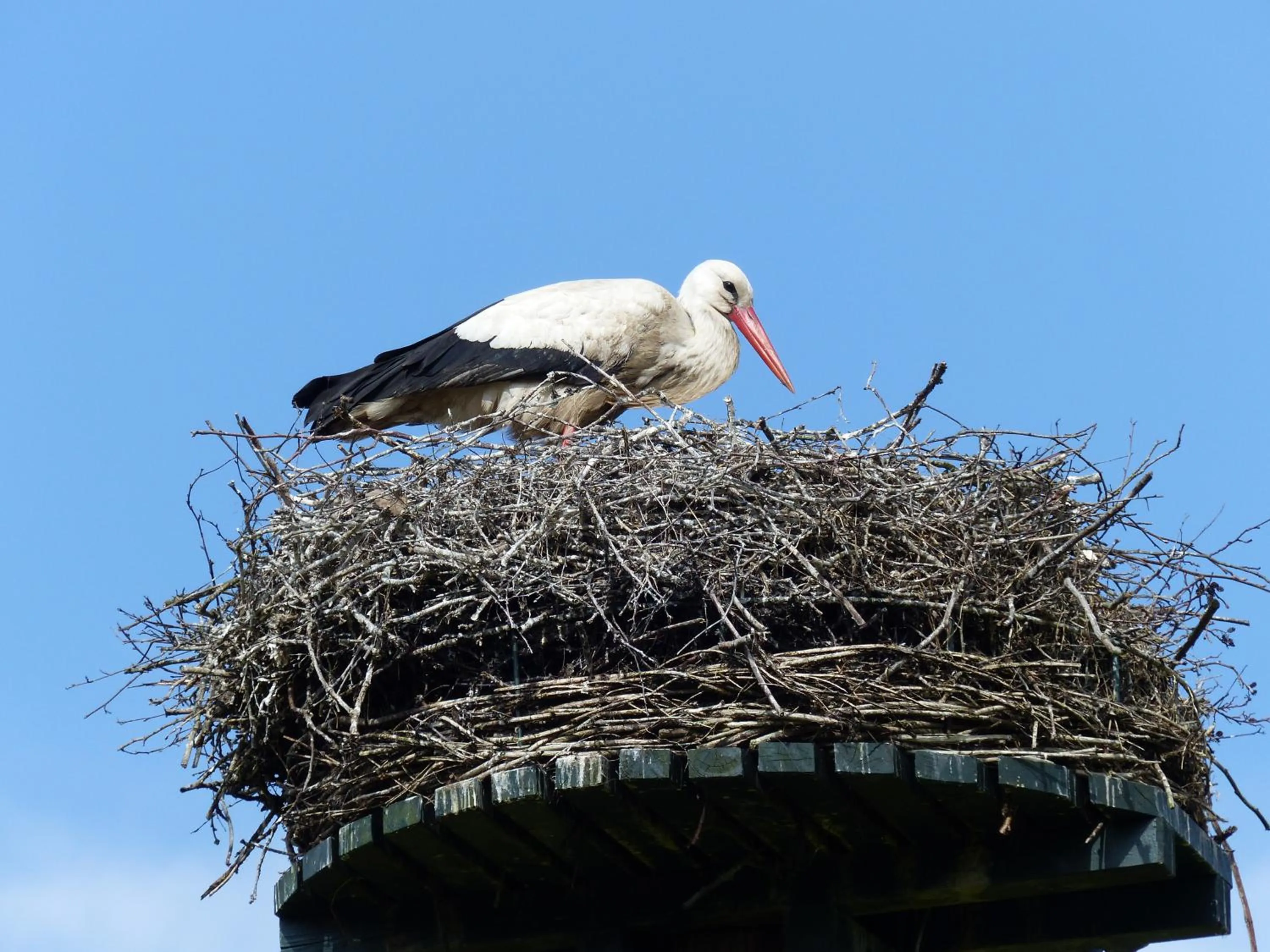 Natural landscape in Herberg De Eexter Os