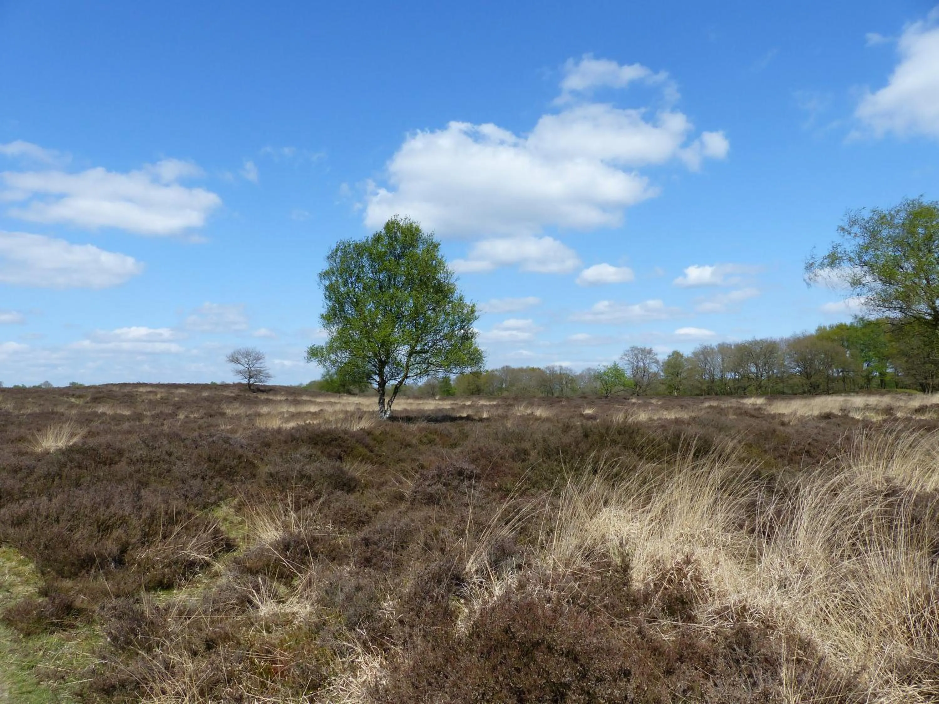 Natural landscape in Herberg De Eexter Os