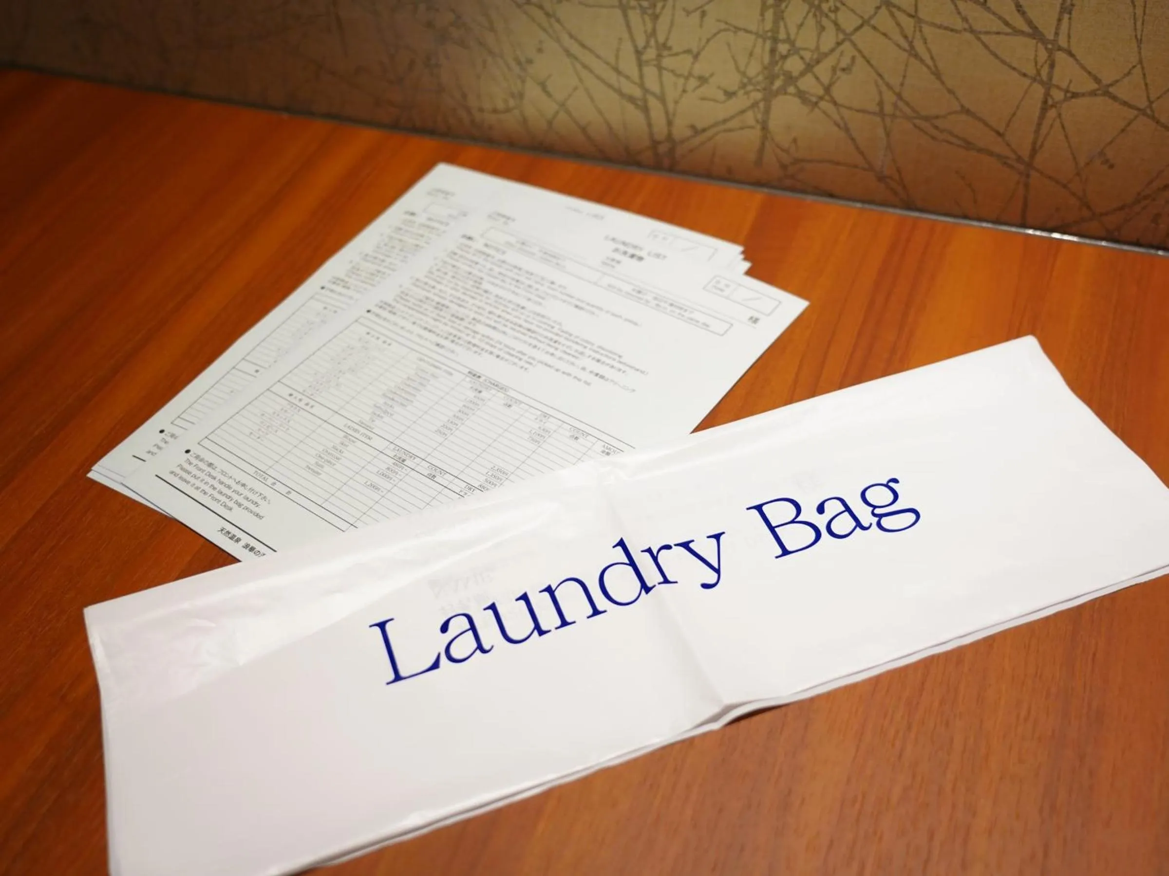 laundry in Dormy Inn Premium Kyoto Ekimae Natural Hot Spring