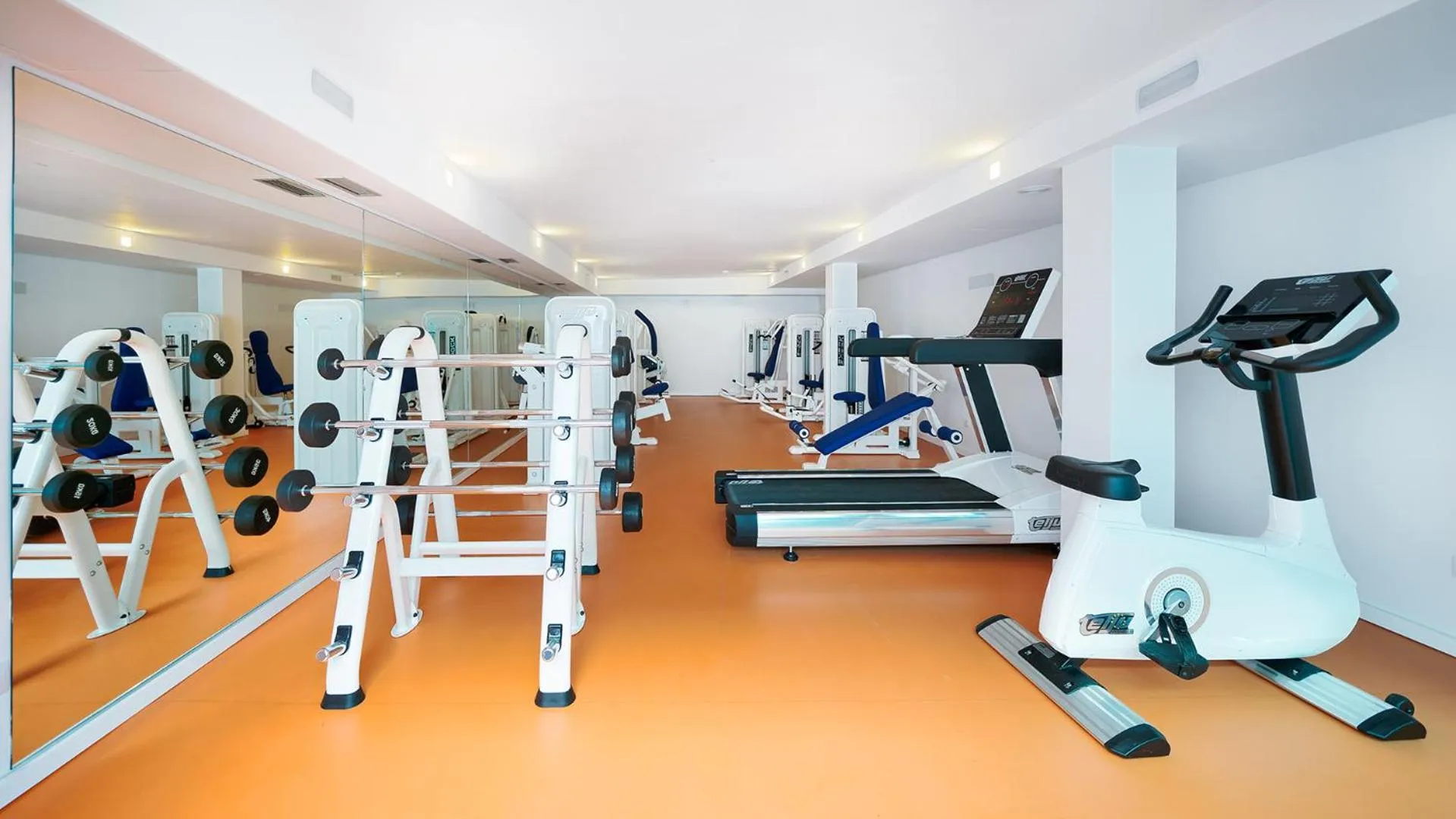 Sports in Canary Garden Club