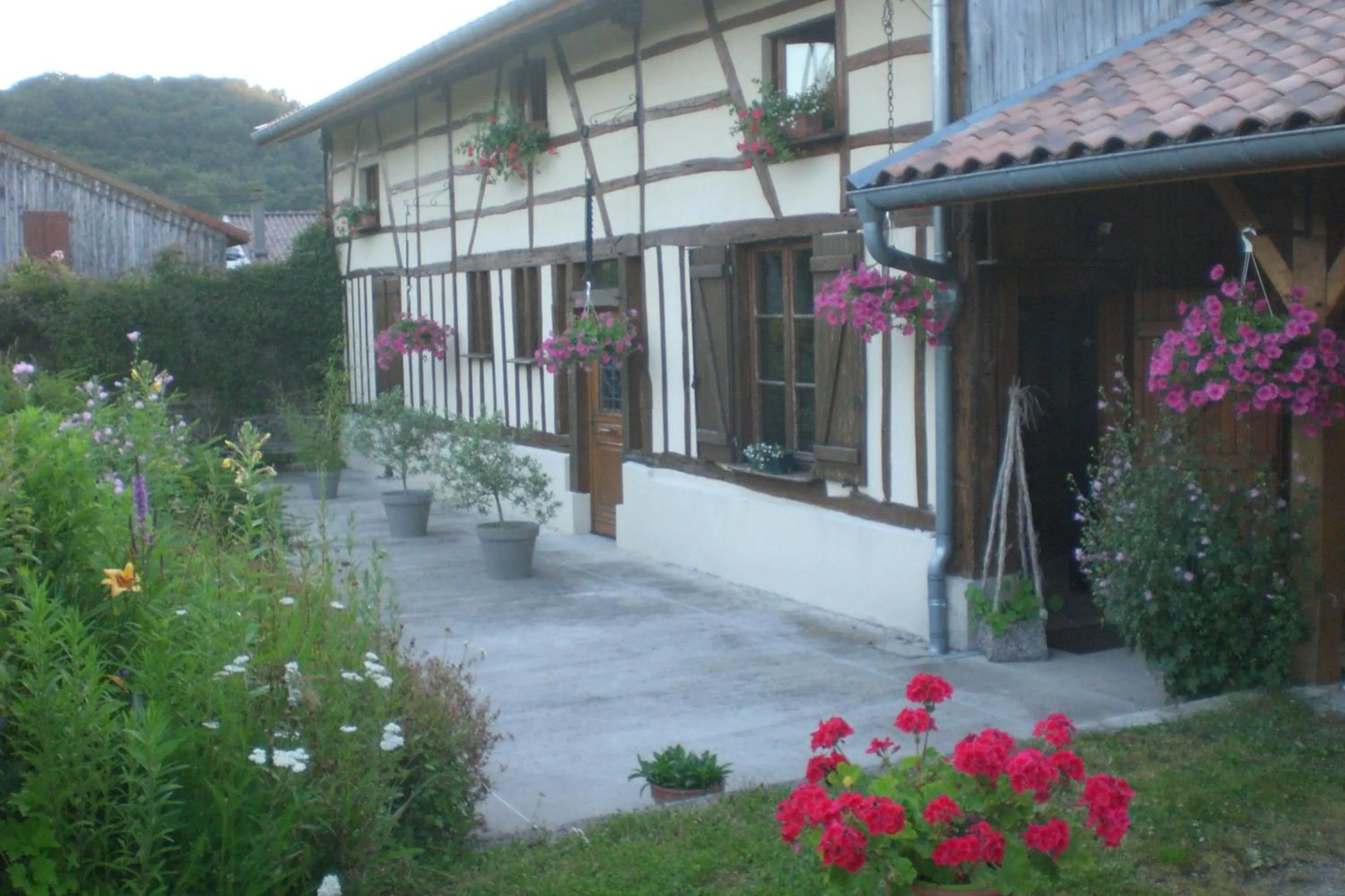 La maison du bûcheron