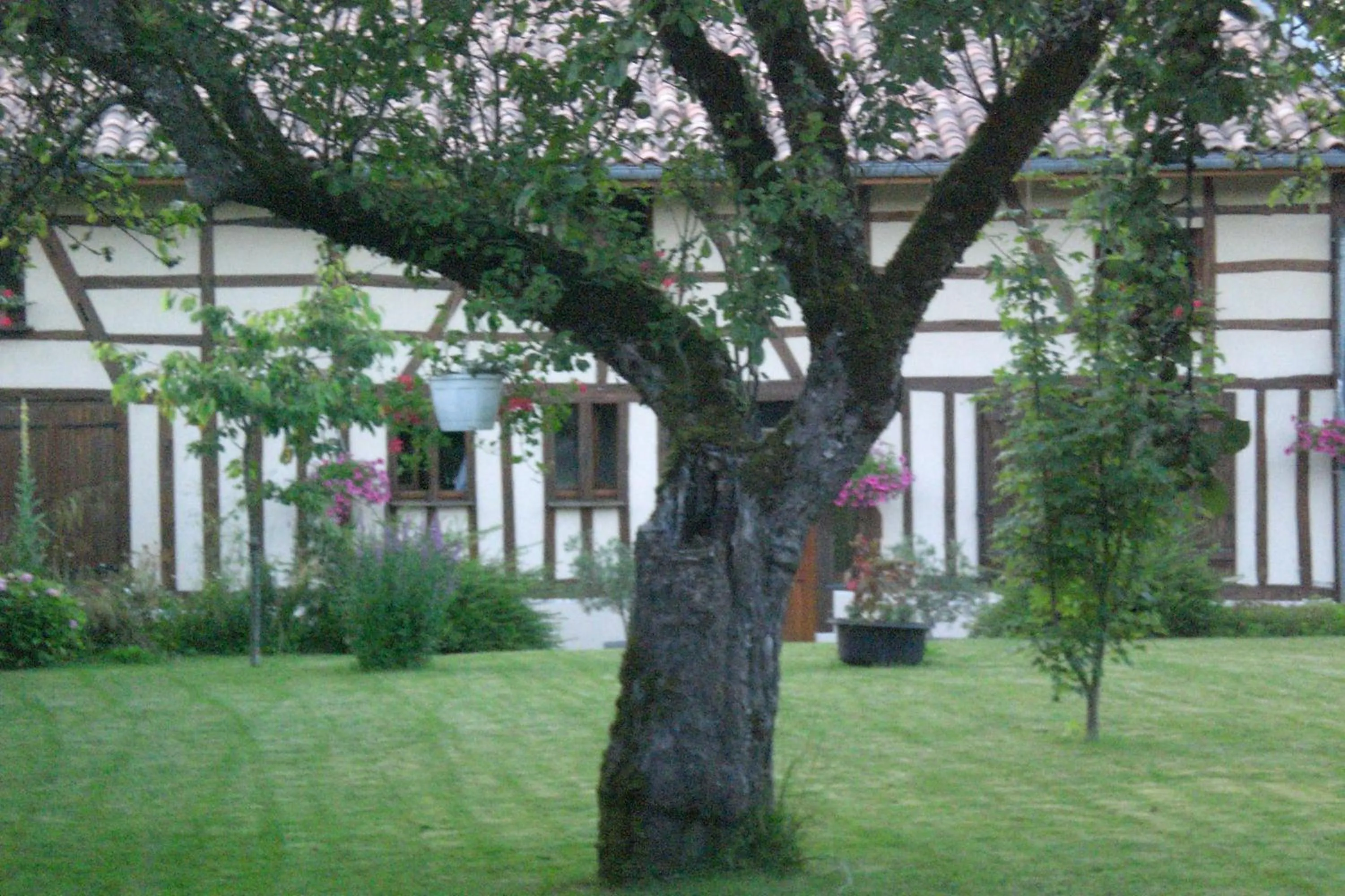 La maison du bûcheron