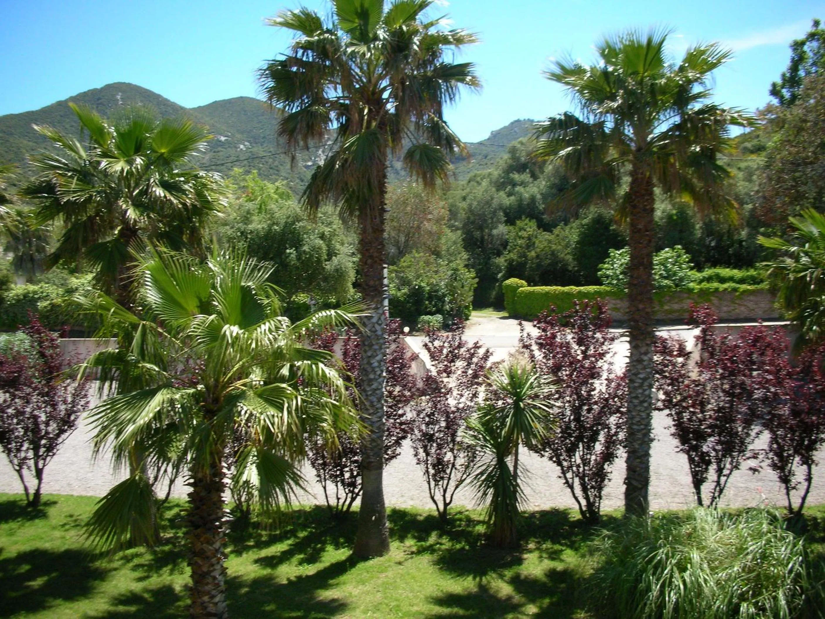 Garden in Hôtel Thalassa
