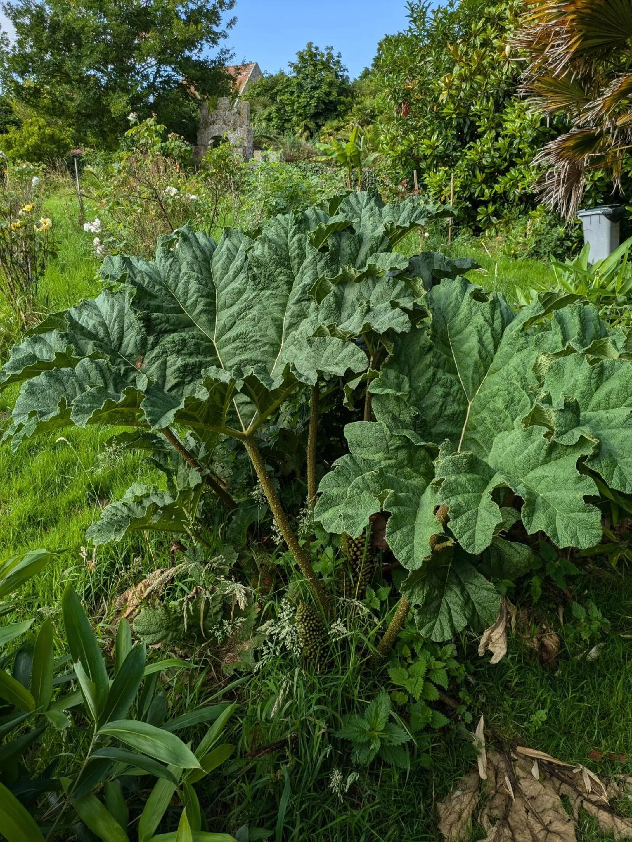 Property building in Domaine de launay blot, Proche MT ST MICHEL