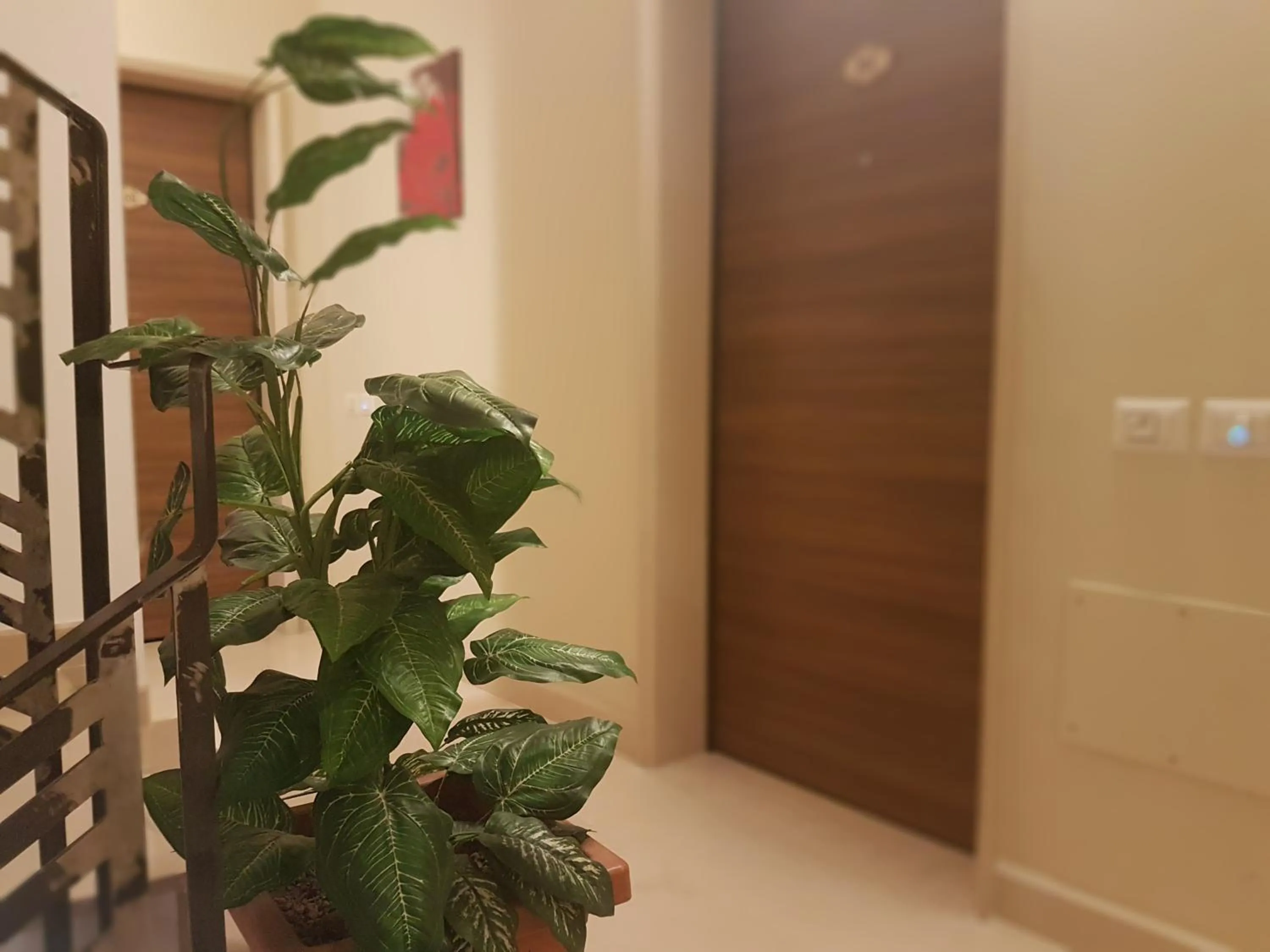 Lobby or reception in Palazzo Ducale