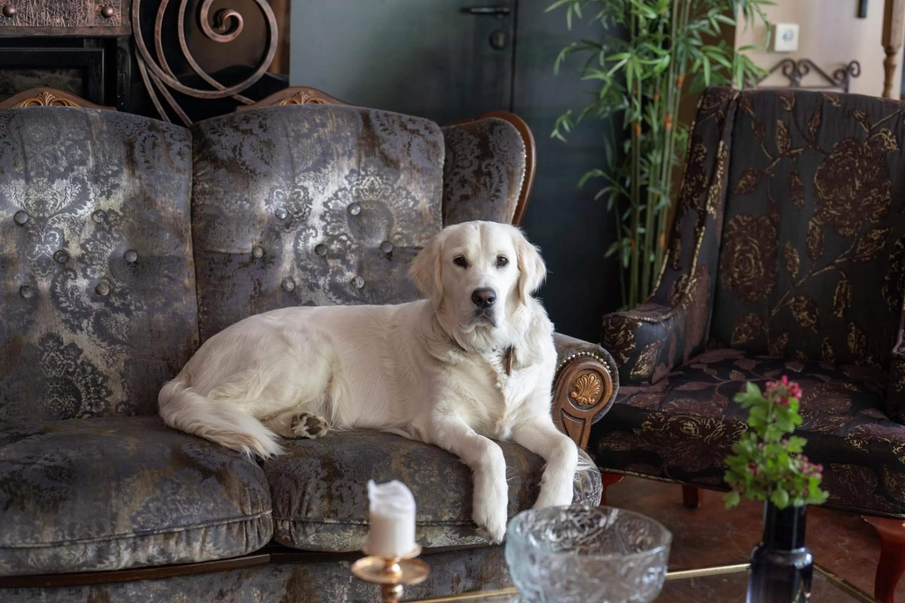 Paivilla Boutique Hotel