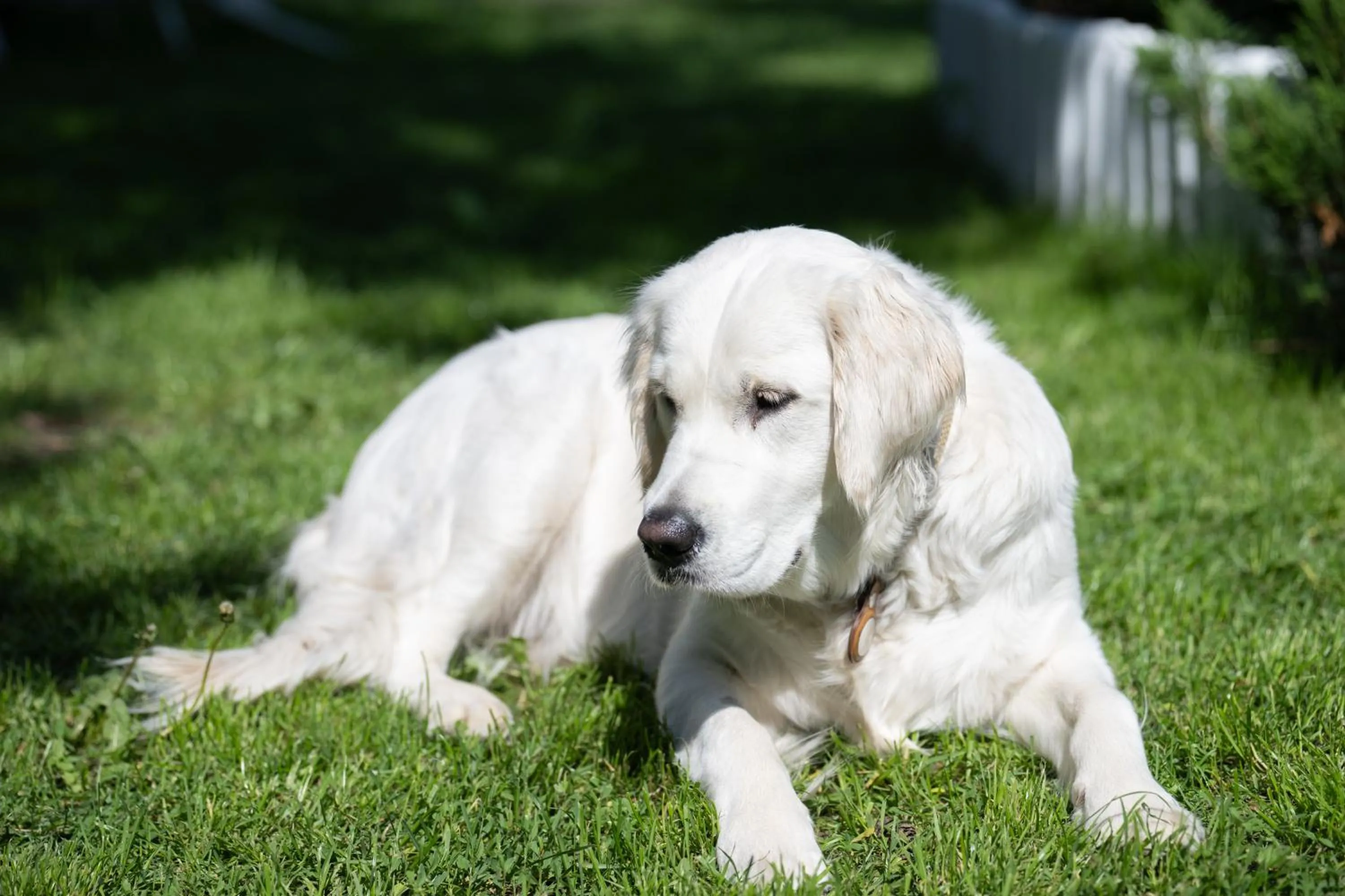 Paivilla Boutique Hotel