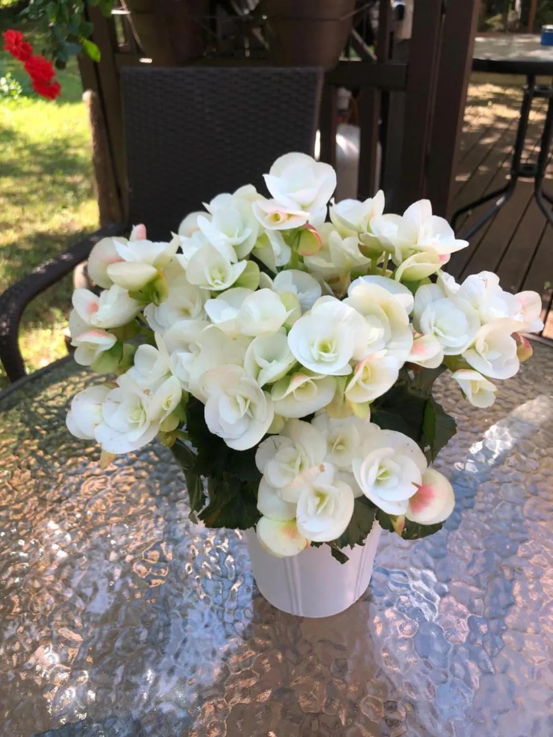Garden in Paivilla Boutique Hotel