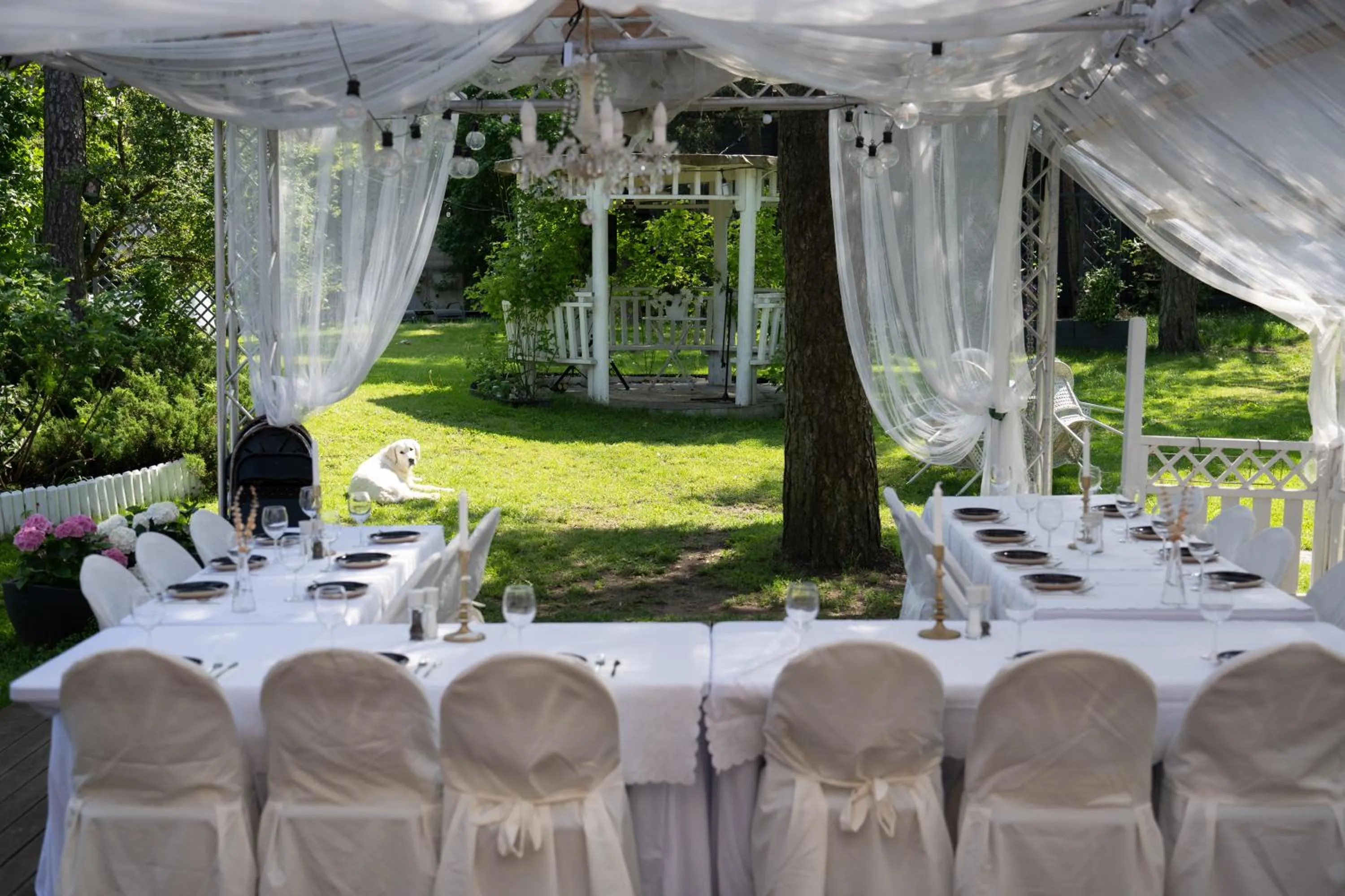 Paivilla Boutique Hotel