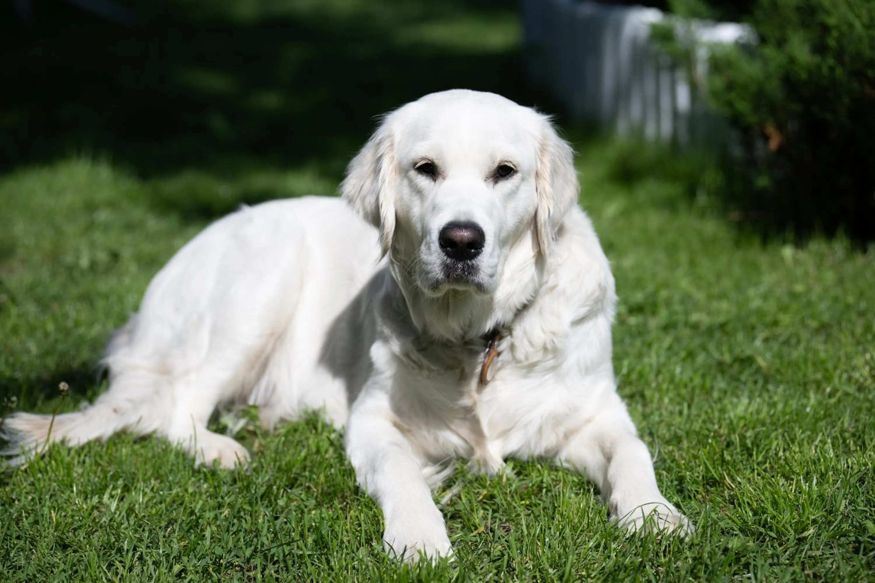 Paivilla Boutique Hotel