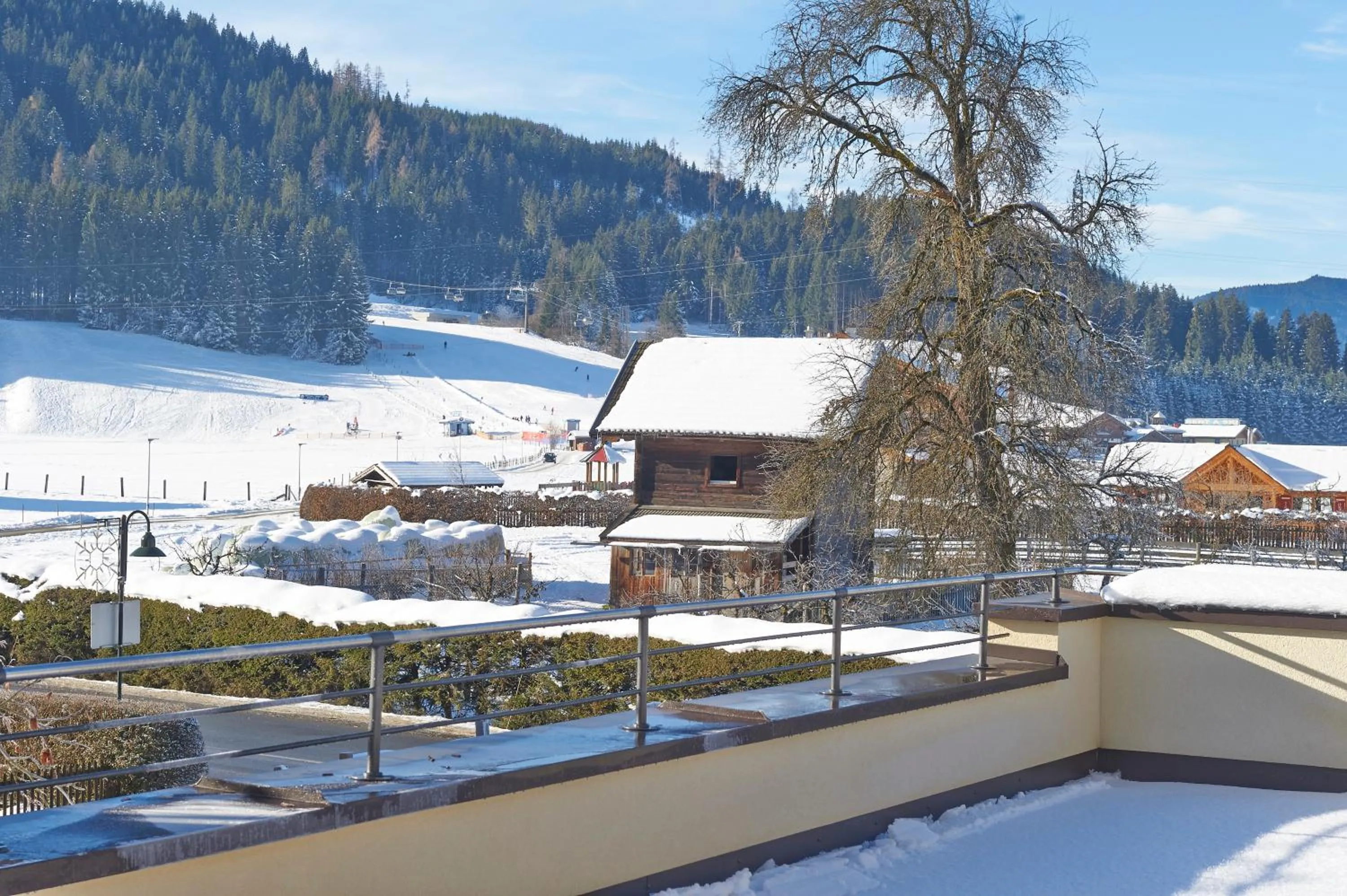 Area and facilities in Alpine Active Weitgasser