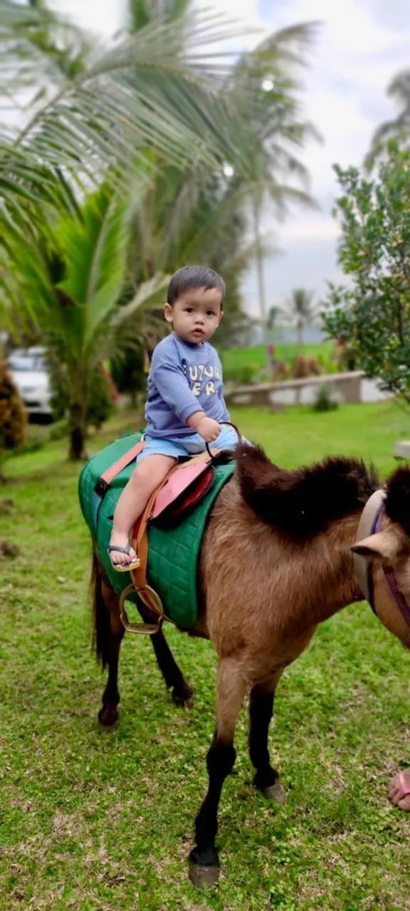 Activities in Grand Harvest Resort & Villas