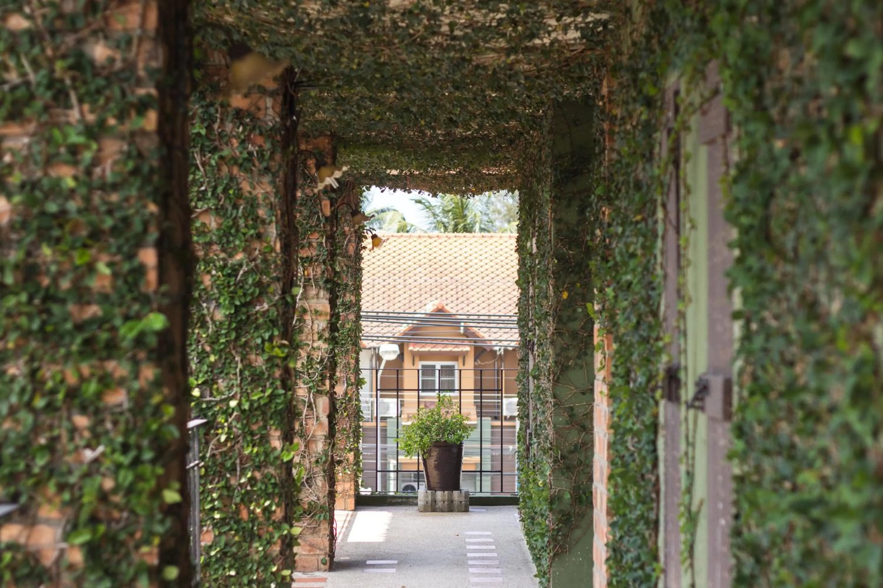 Property building in Khaolak Tony Lodge