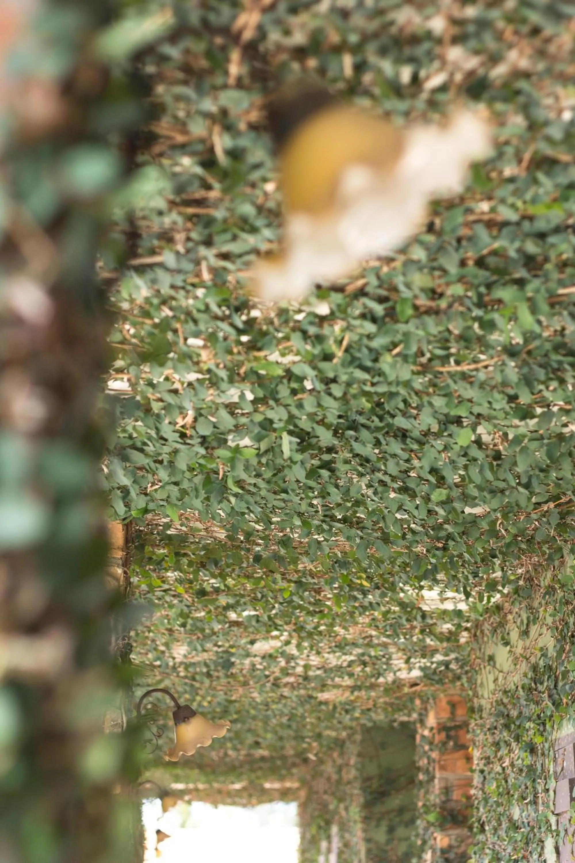Decorative detail in Khaolak Tony Lodge