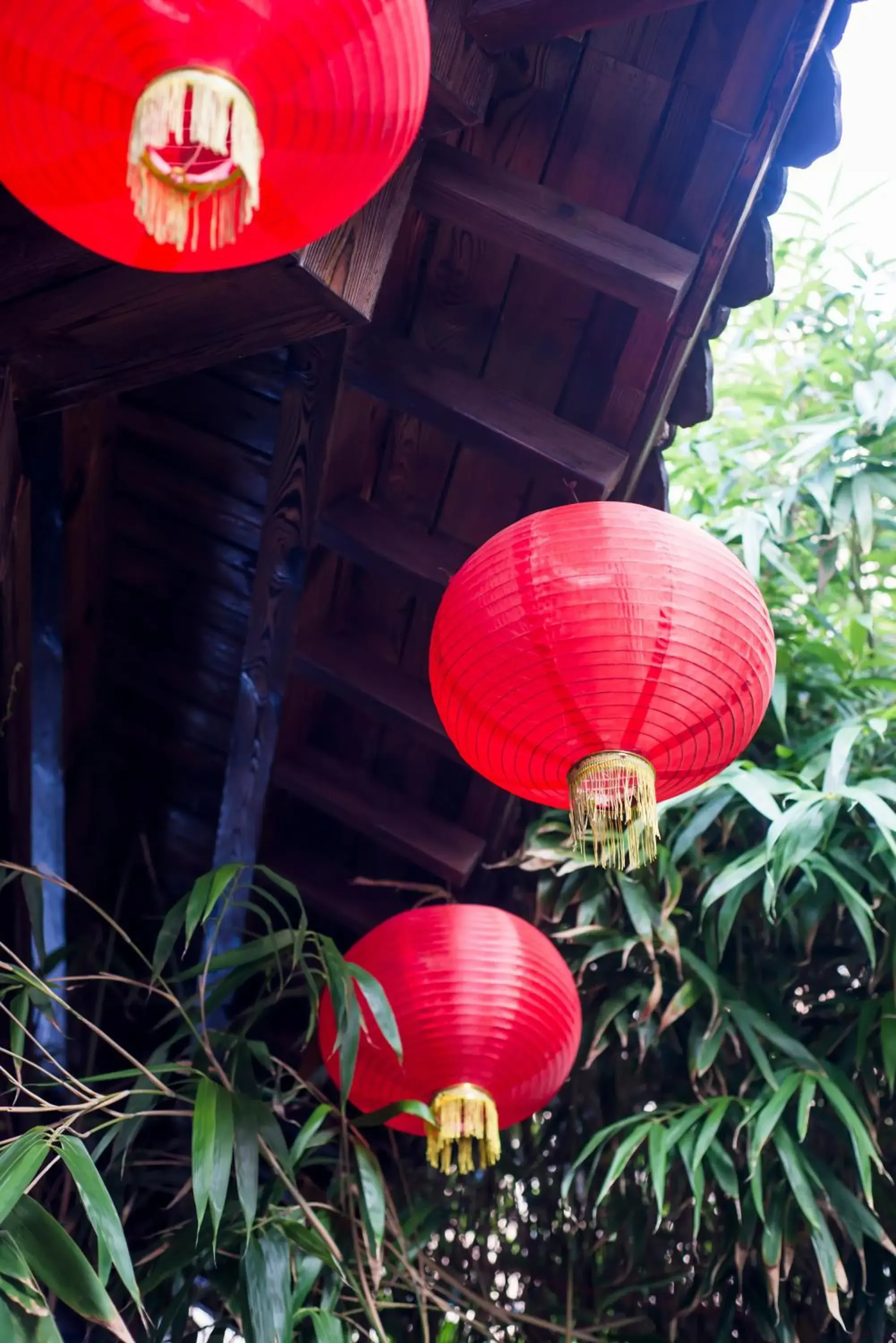 Garden view in MG Hotel St Michael's Cathedral, Qingdao Garden view in MG Hotel St Michael's Cathedral, Qingdao