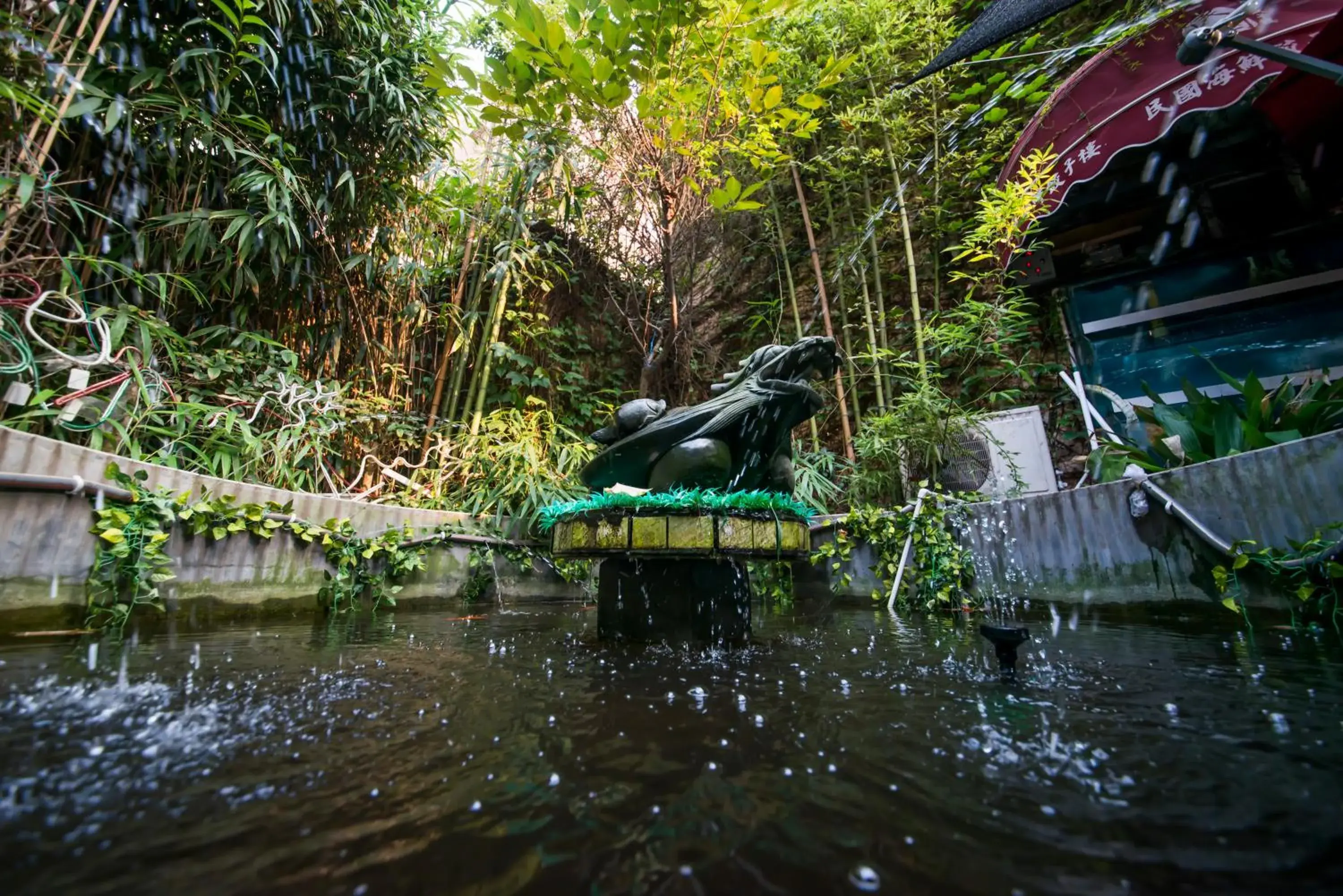Garden view in MG Hotel St Michael's Cathedral, Qingdao Garden view in MG Hotel St Michael's Cathedral, Qingdao