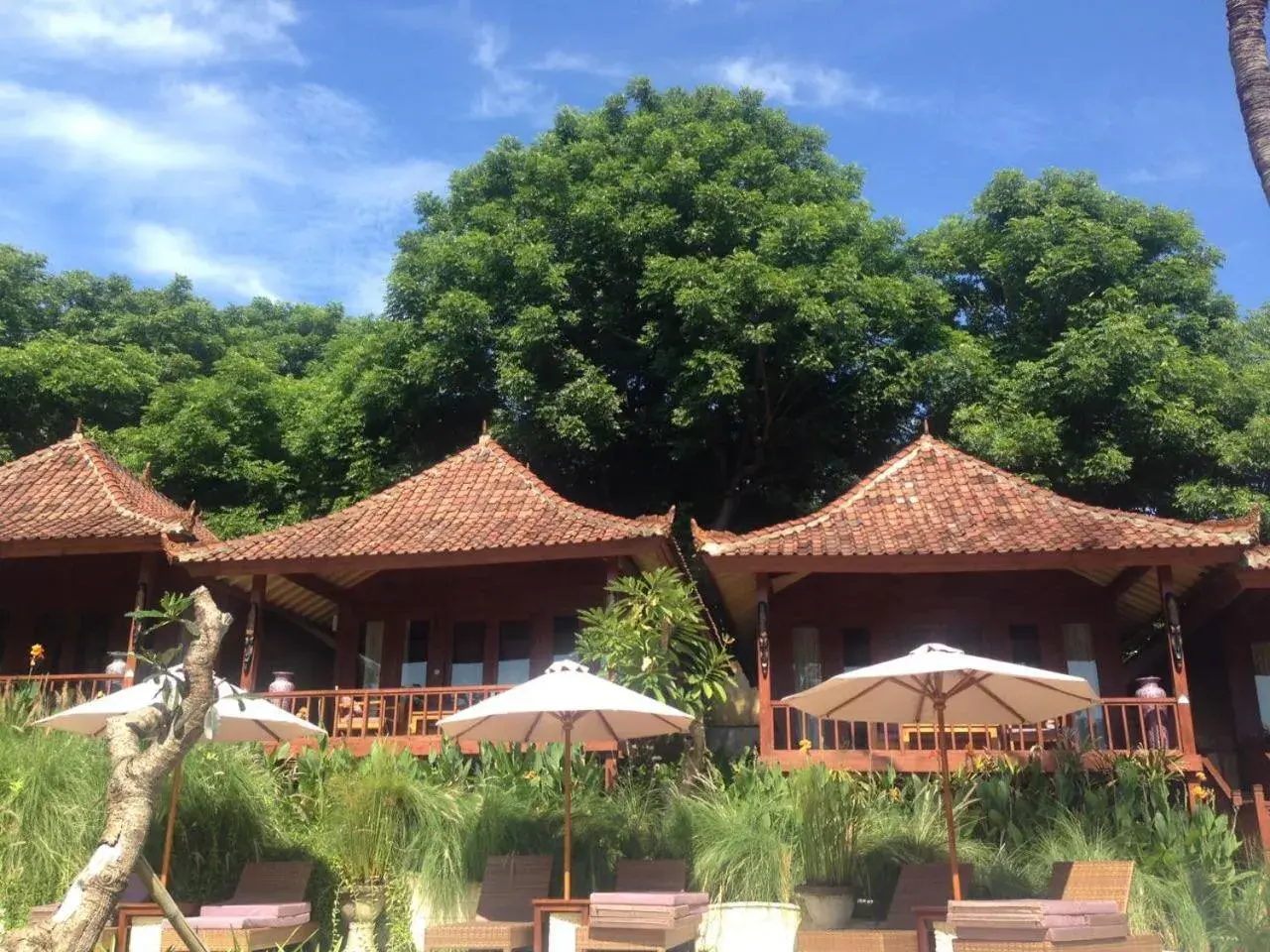 Garden view in Paradesa Living Garden view in Paradesa Living