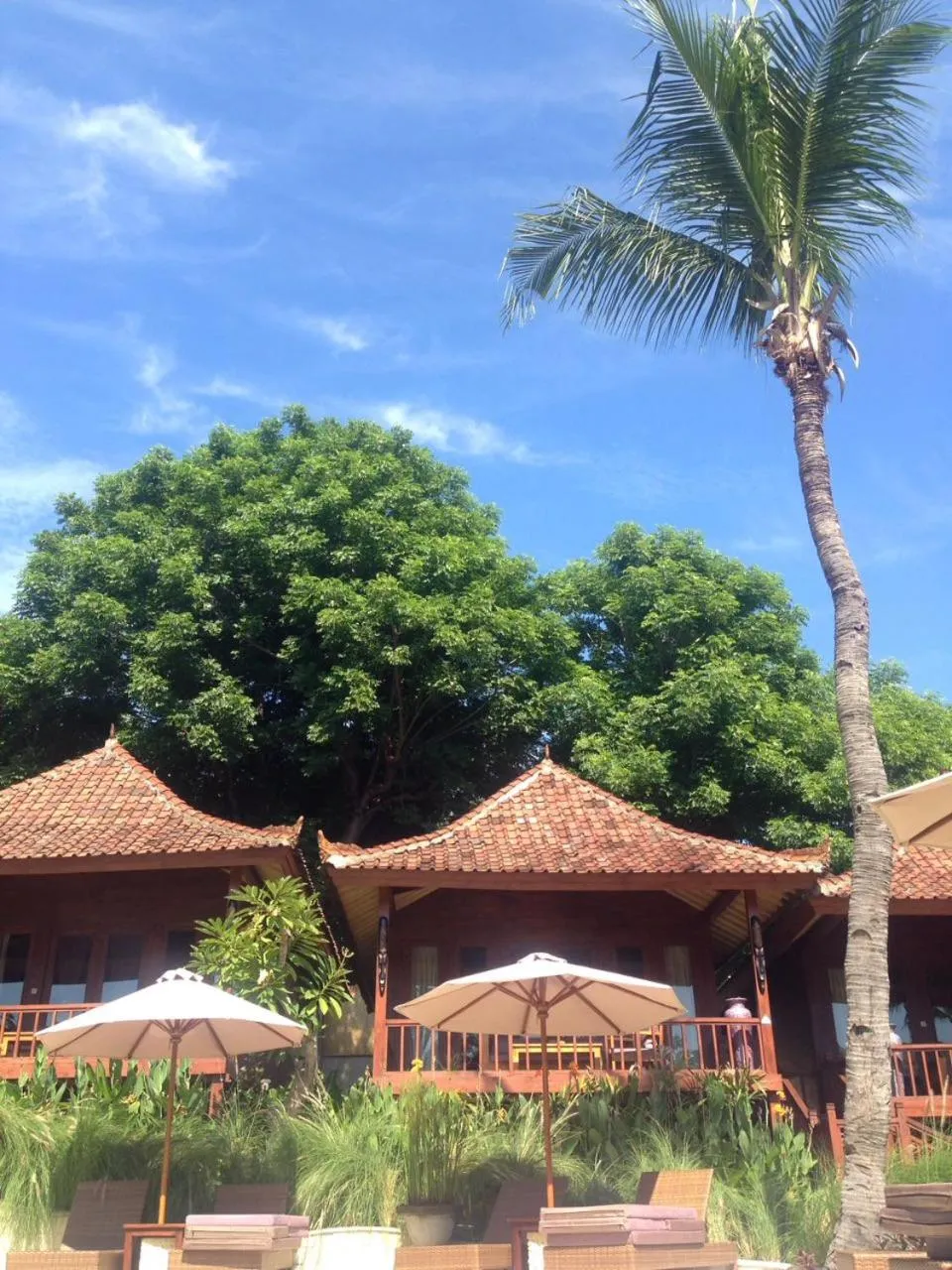 Property building in Paradesa Living