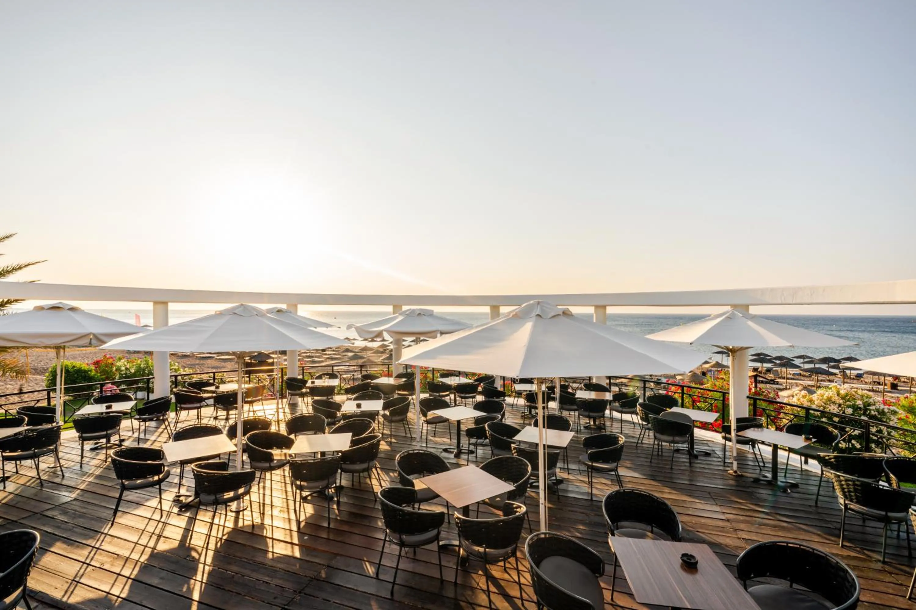 Lounge or bar in Calypso Beach