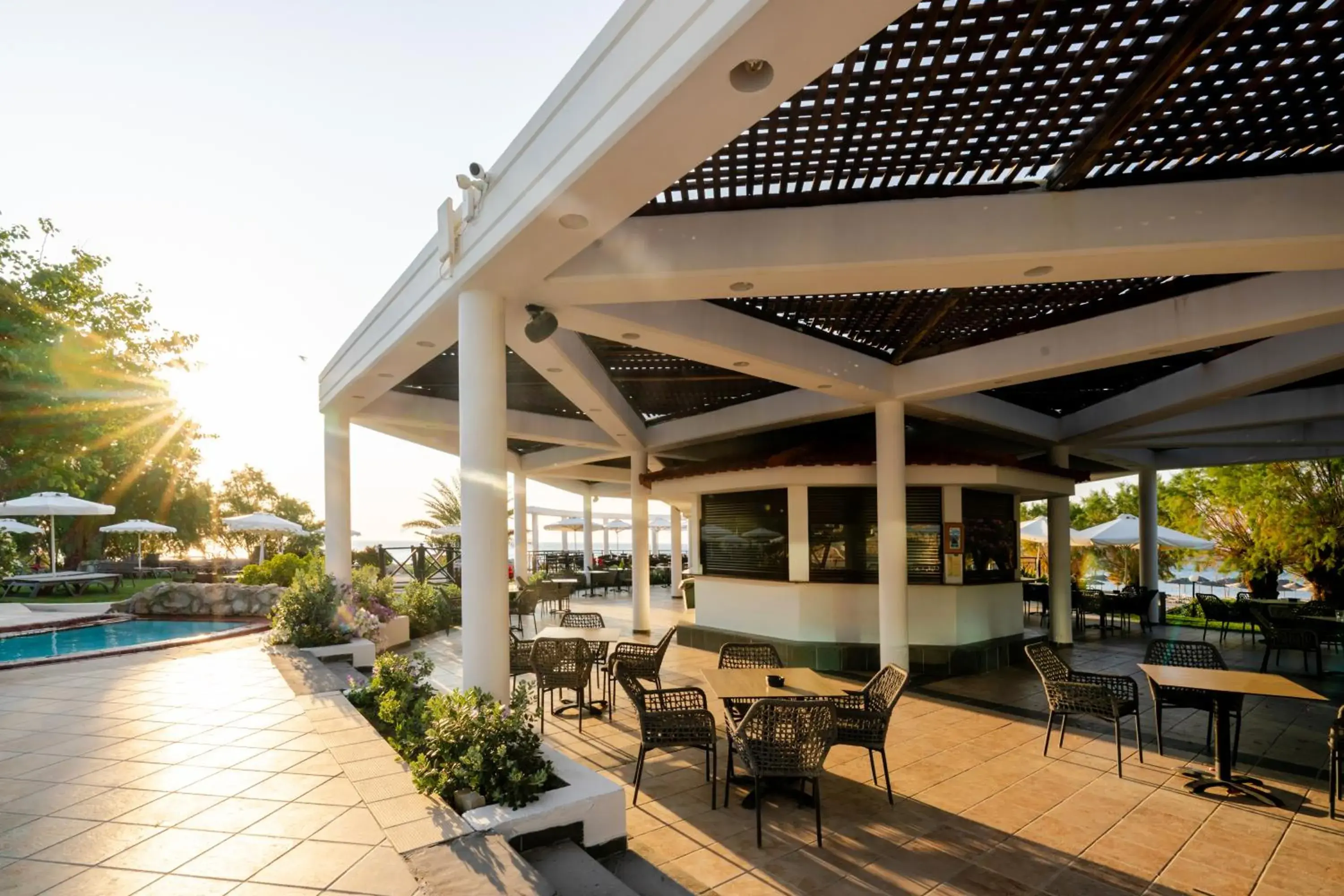 Lounge or bar in Calypso Beach Lounge or bar in Calypso Beach