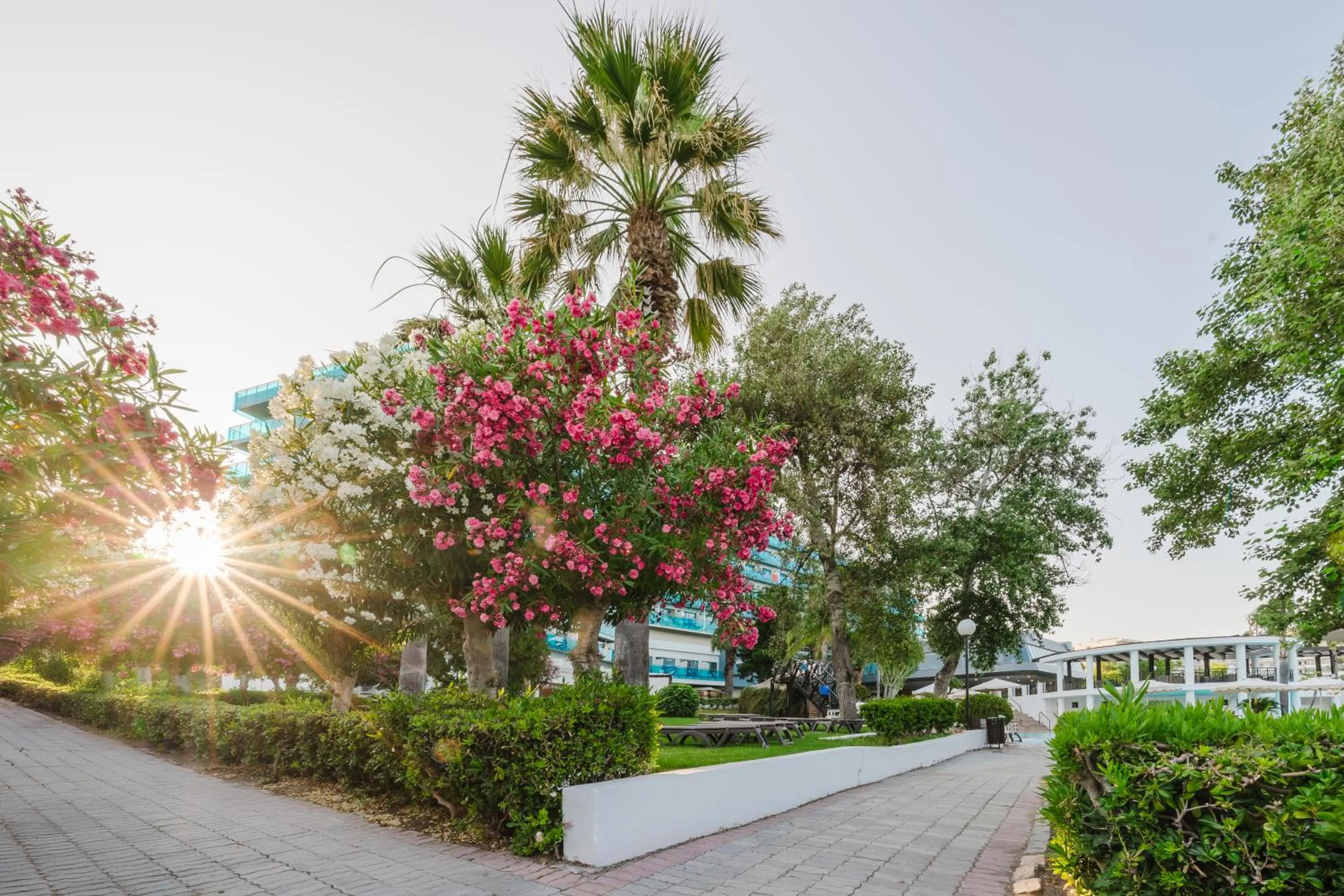 Garden in Calypso Beach