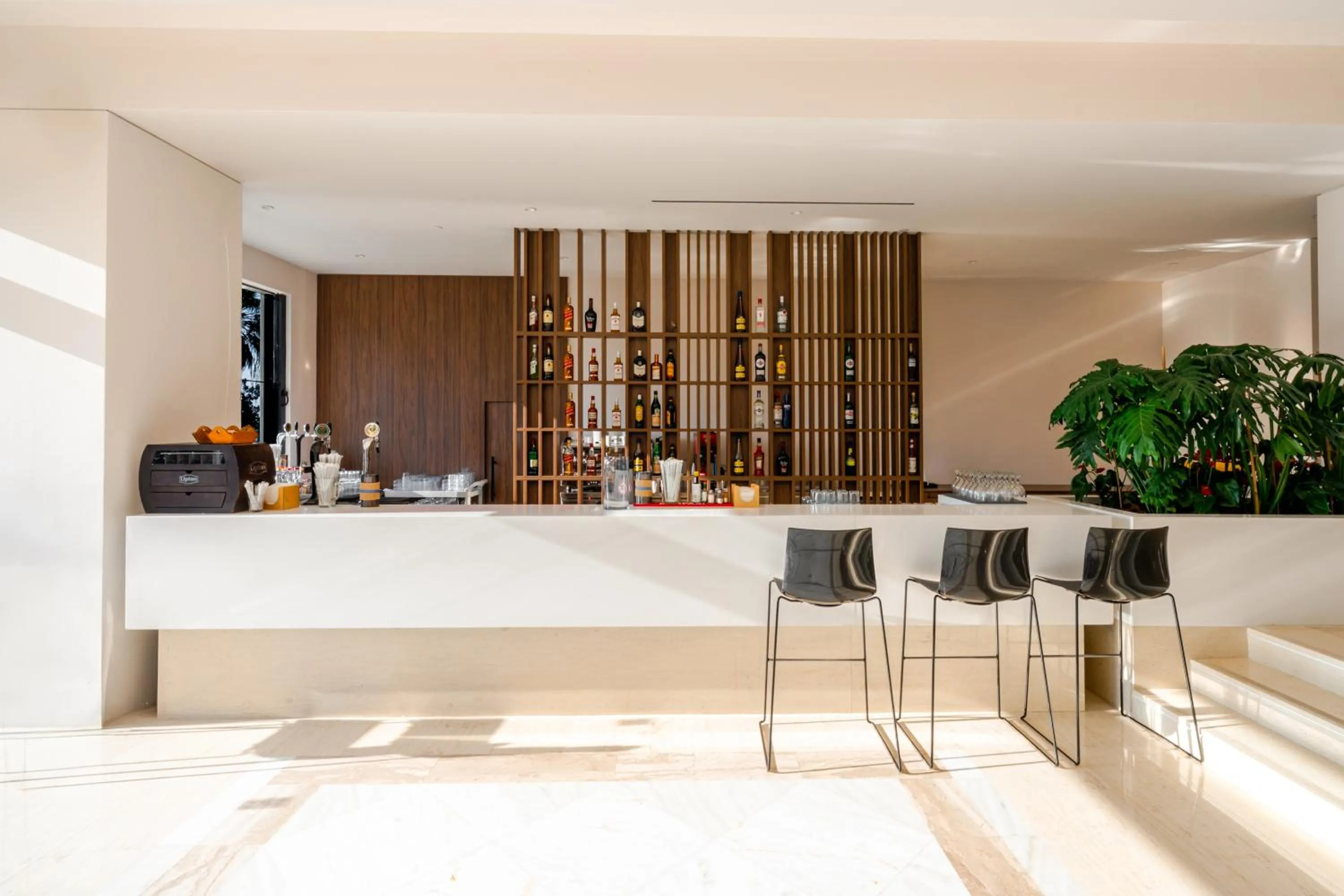 Lounge or bar in Calypso Beach