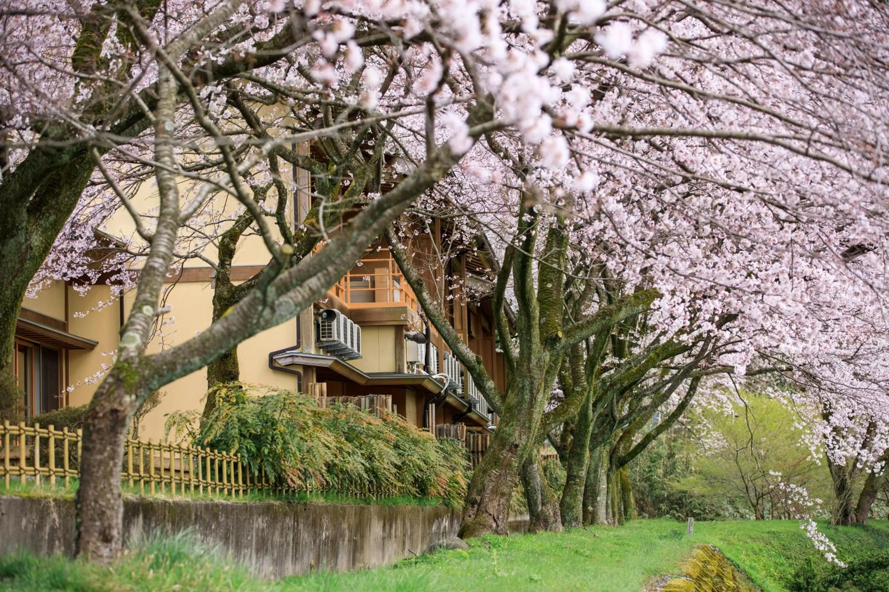Property building in TAKITEI Riverside Onsen ーA Hidden Ryokan in Kanazawaー