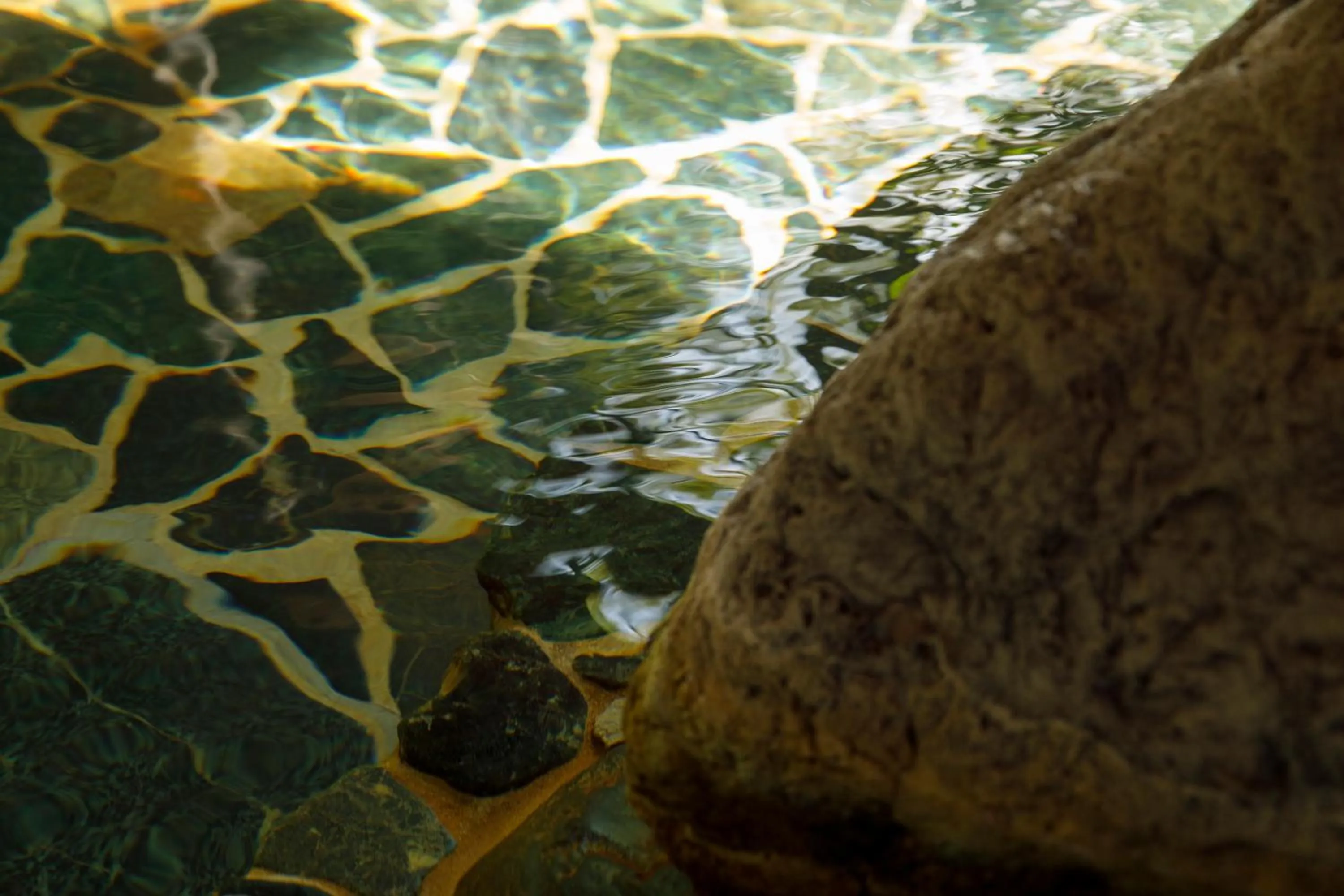 Hot Spring Bath in TAKITEI Riverside Onsen ーA Hidden Ryokan in Kanazawaー