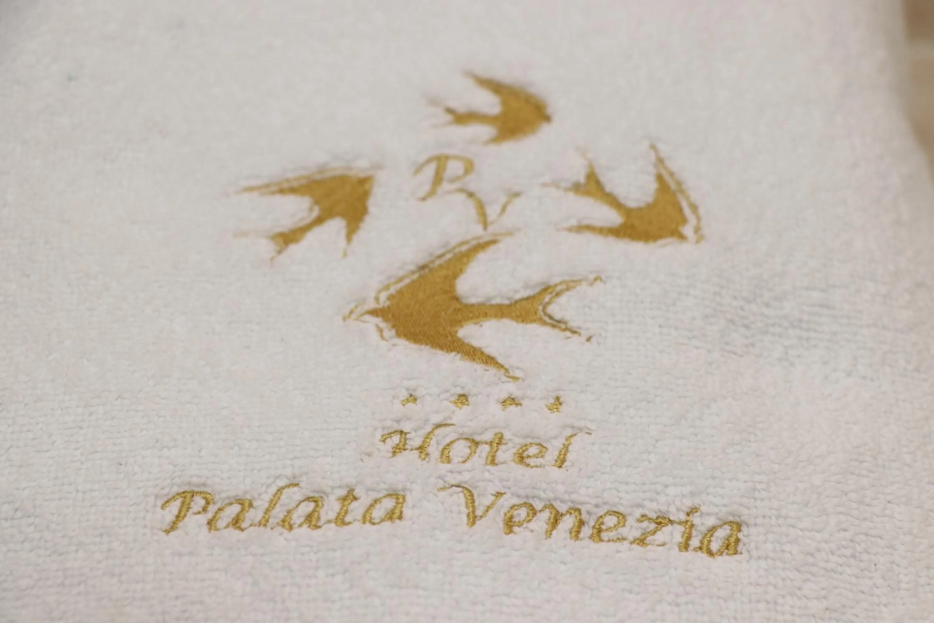 Logo/Certificate/Sign in Hotel Palata Venezia