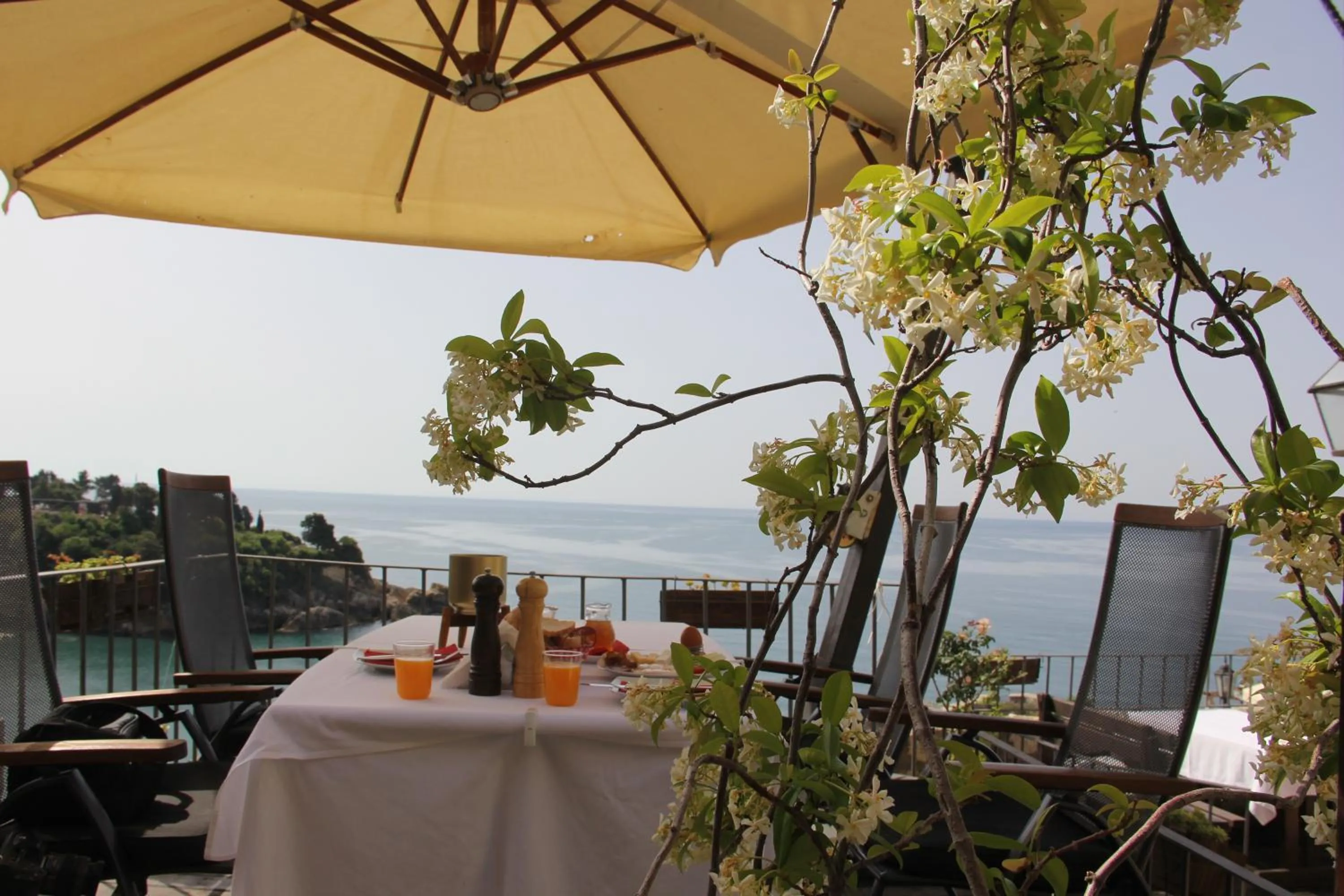 Breakfast in Hotel Palata Venezia