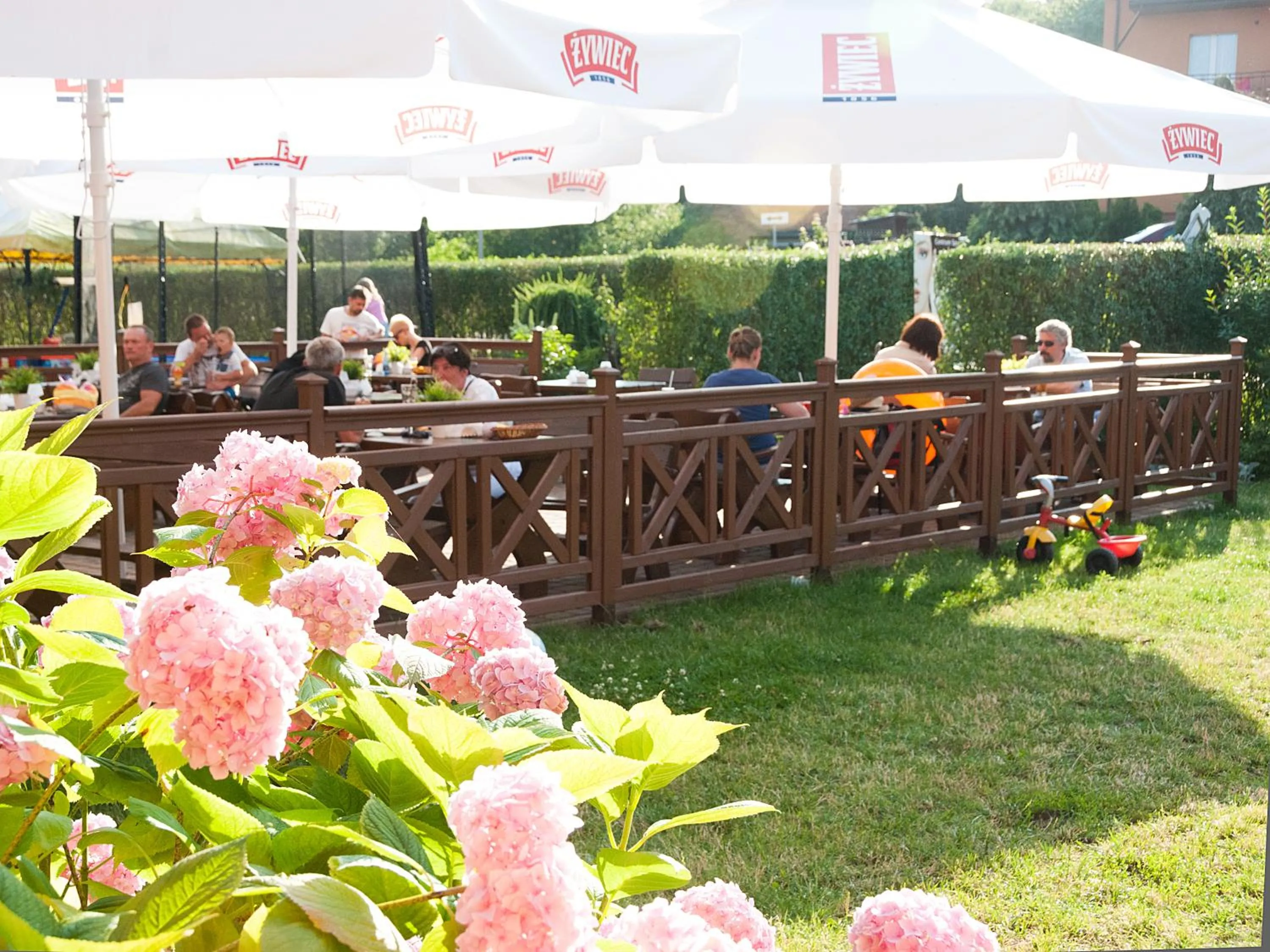Restaurant/places to eat in Słoneczny Dwór