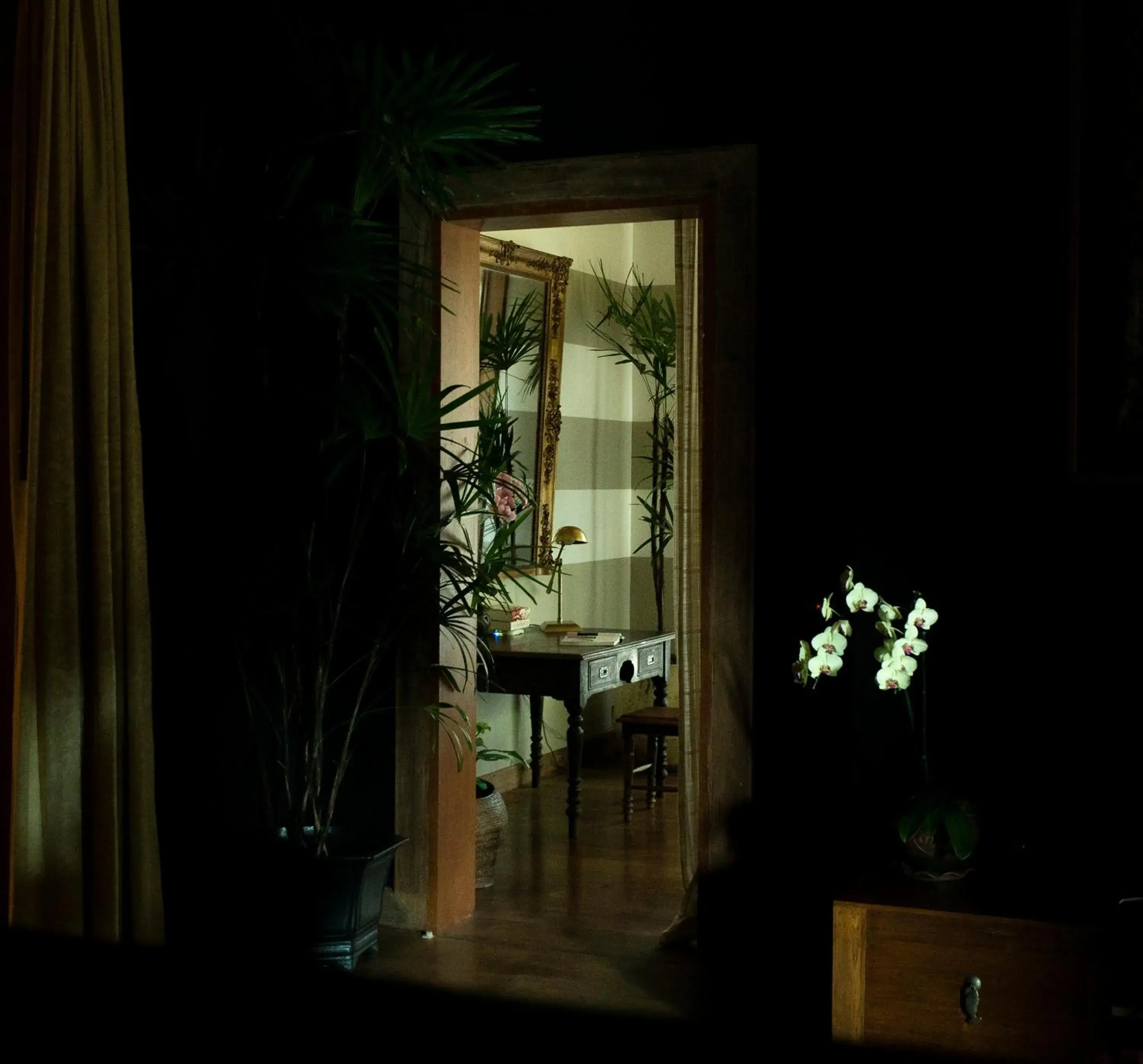 Living room in Chandra Residence Living room in Chandra Residence