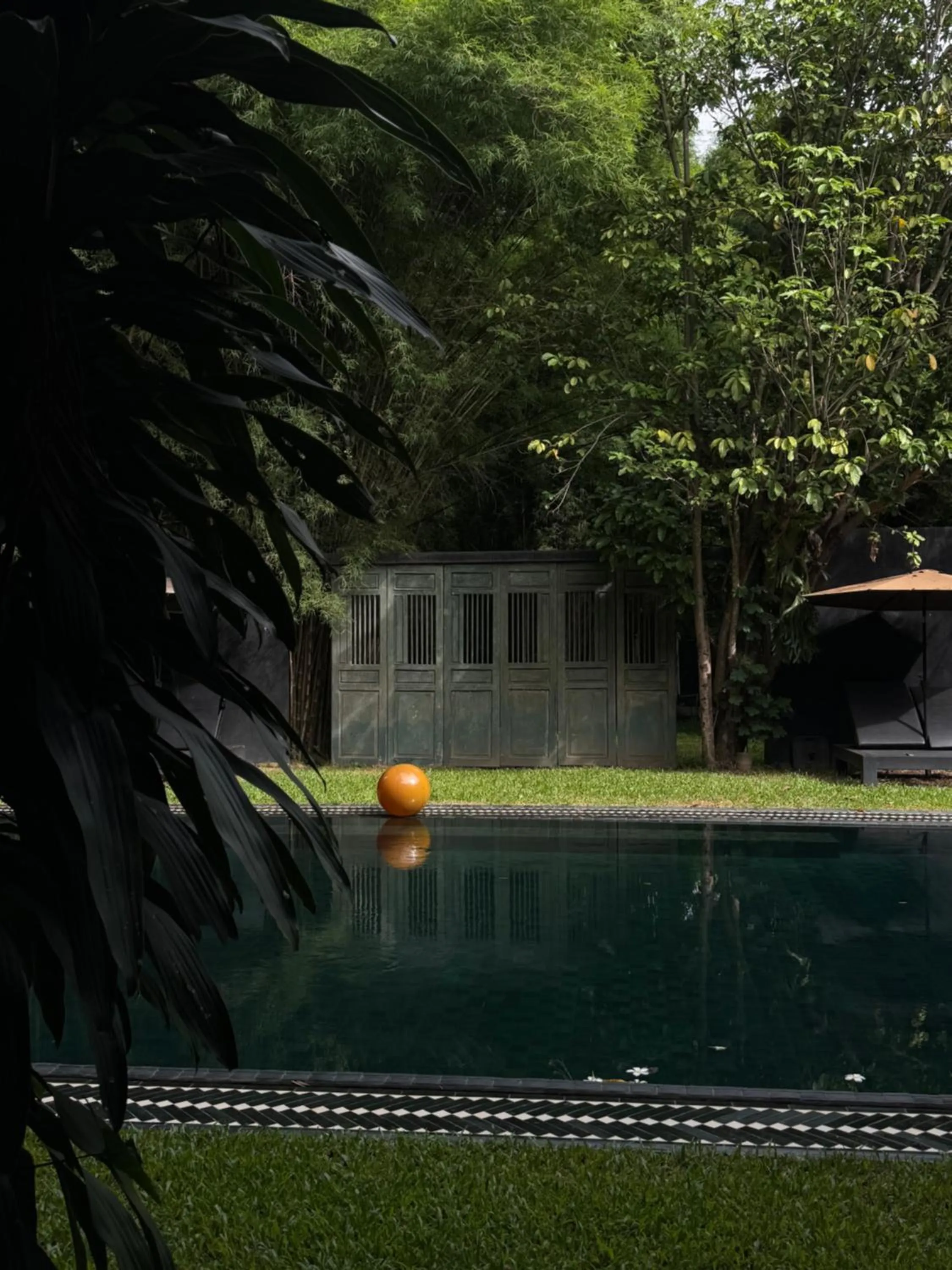 Swimming pool in Chandra Residence