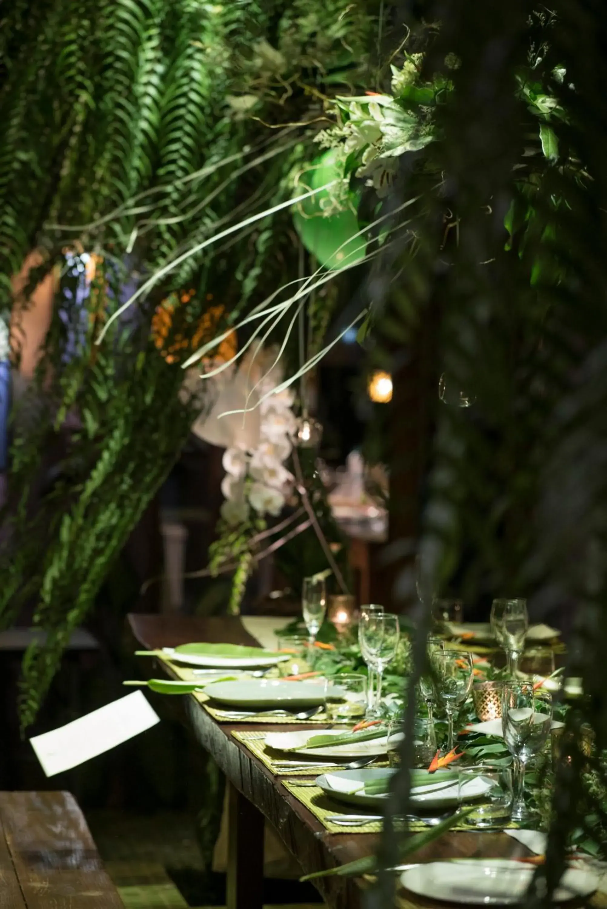 Food and drinks in Chandra Residence Food and drinks in Chandra Residence