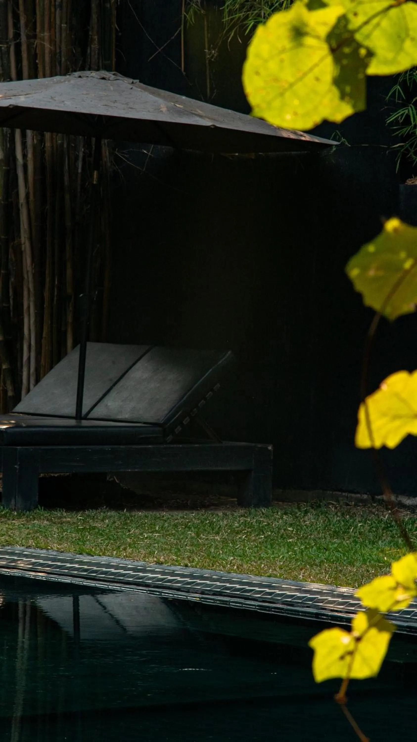 Day in Chandra Residence