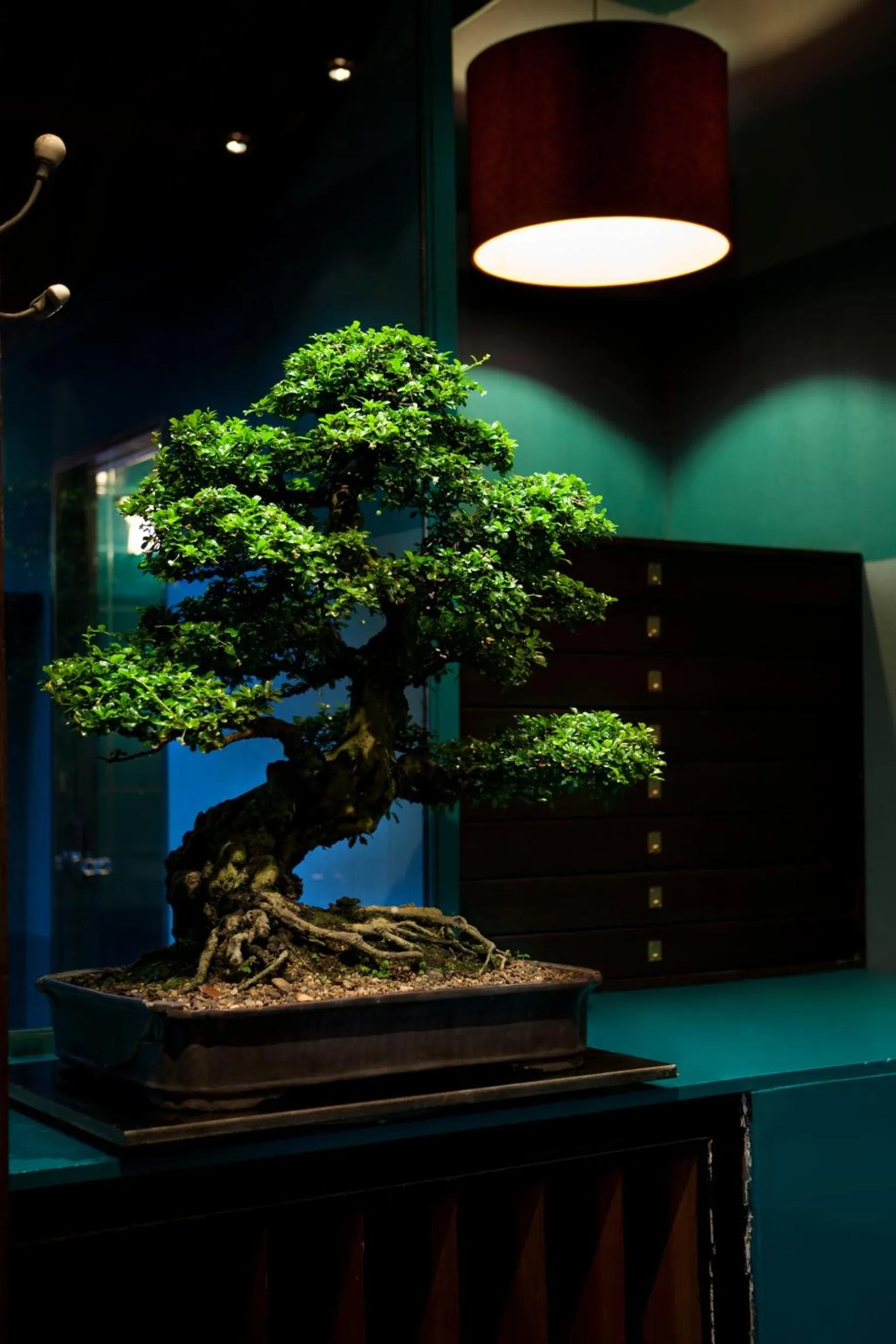 Decorative detail in Chandra Residence