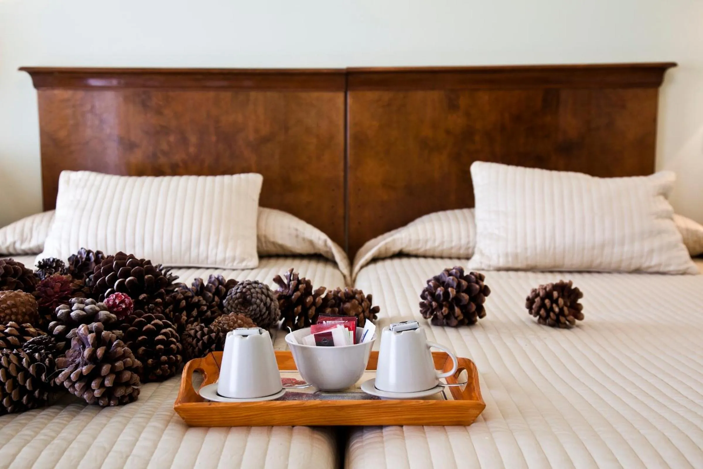 Decorative detail, Bed in La Posada Real del Pinar