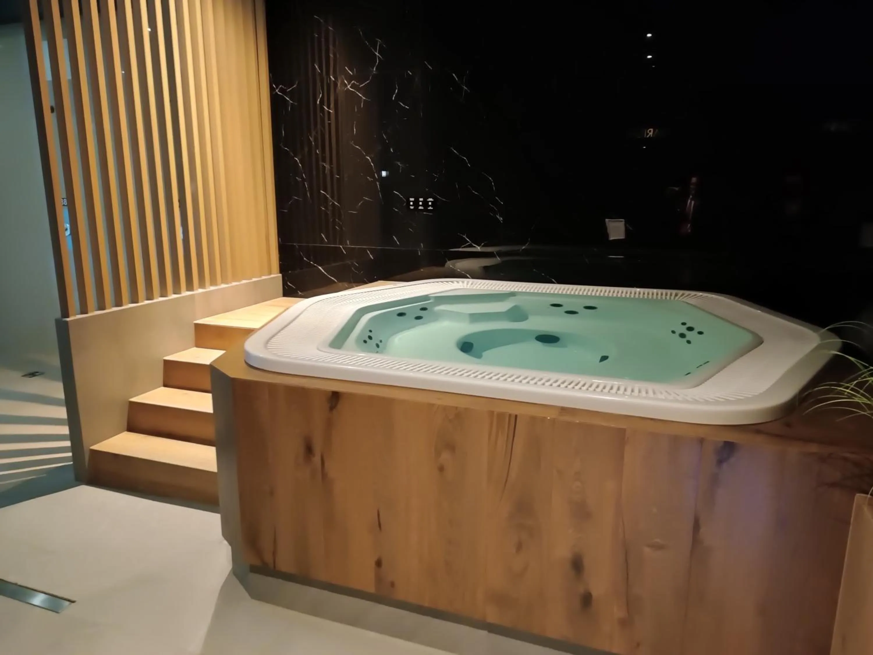 Swimming pool in Ambasador Premium