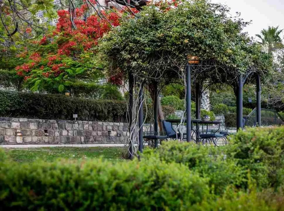 Garden in The Scots Hotel