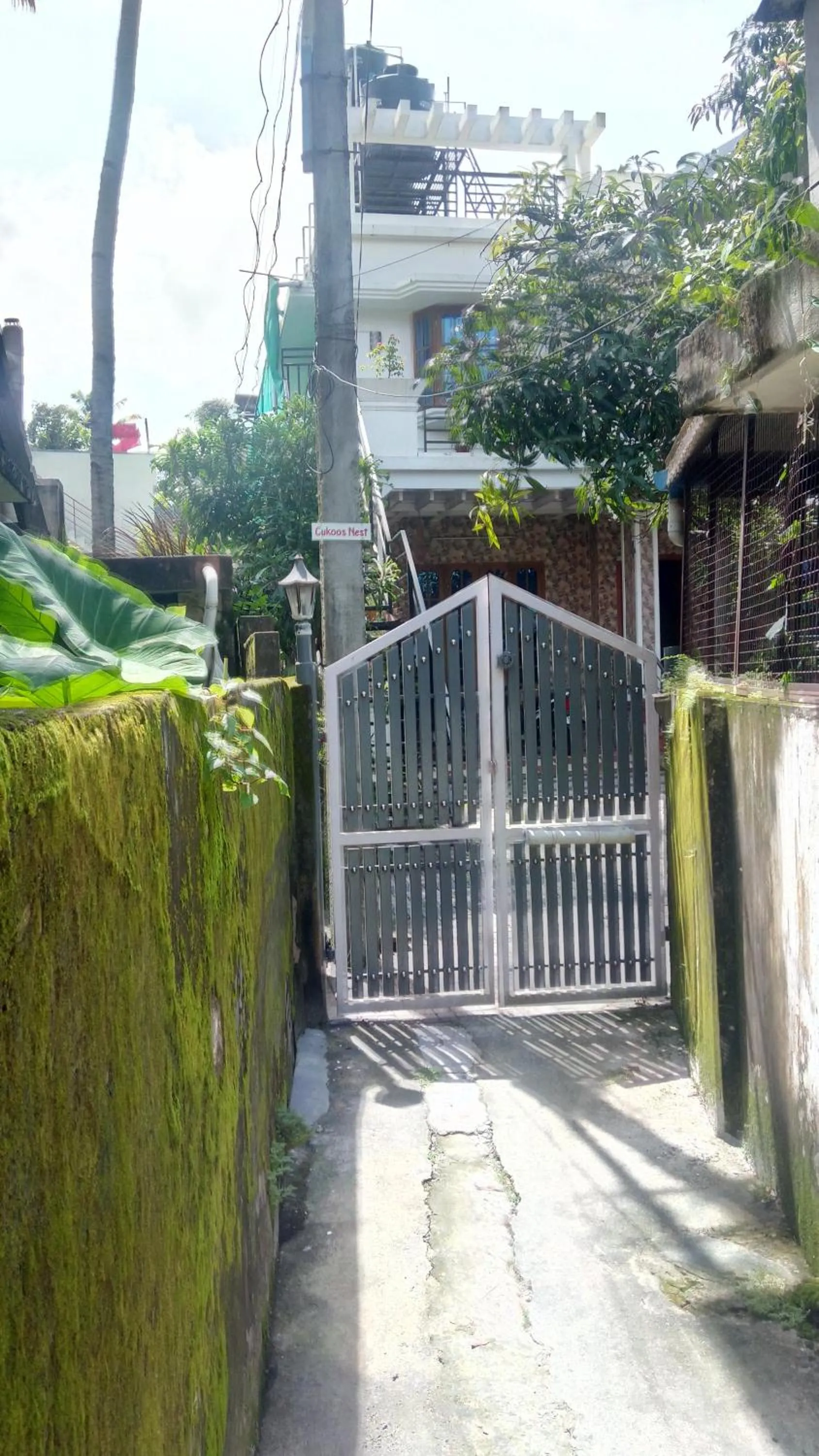 Street view in Cukoos Nest
