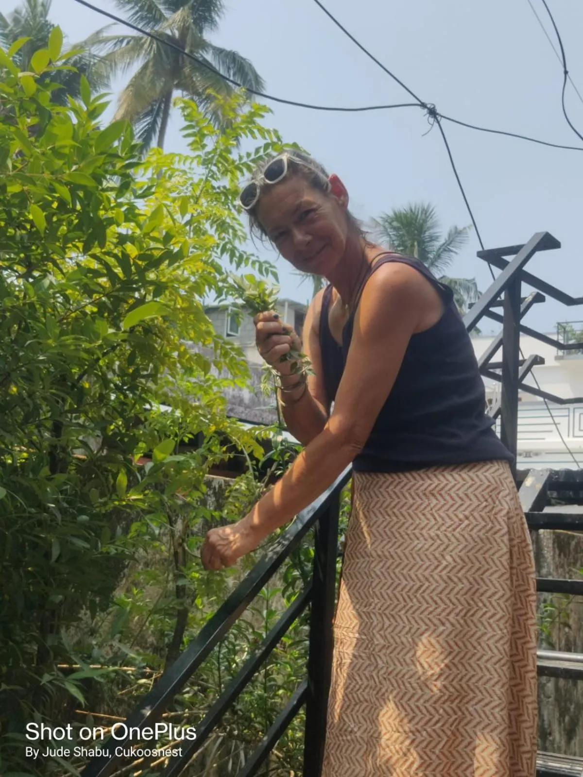 Garden in Cukoos Nest