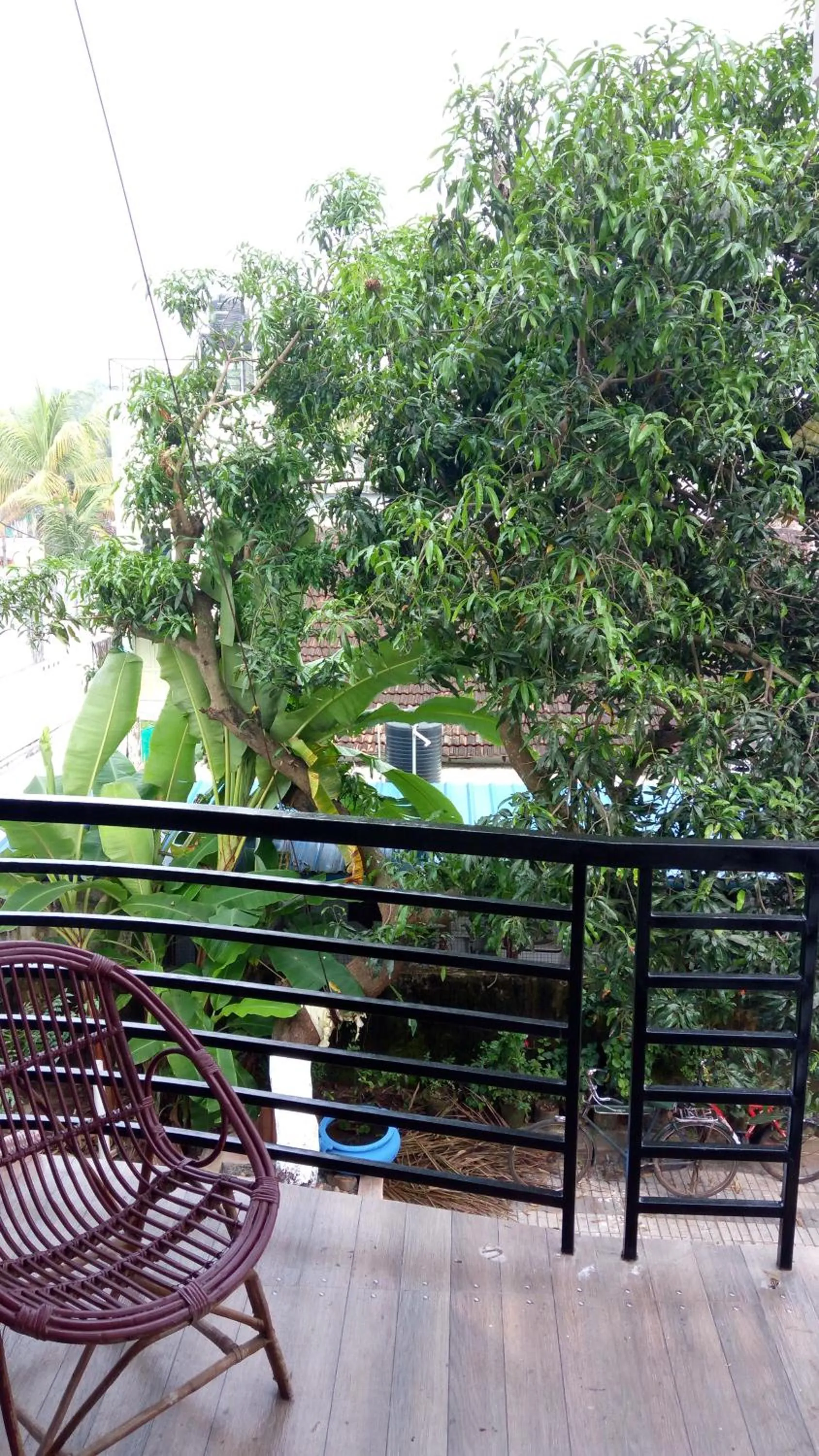 Balcony/Terrace in Cukoos Nest