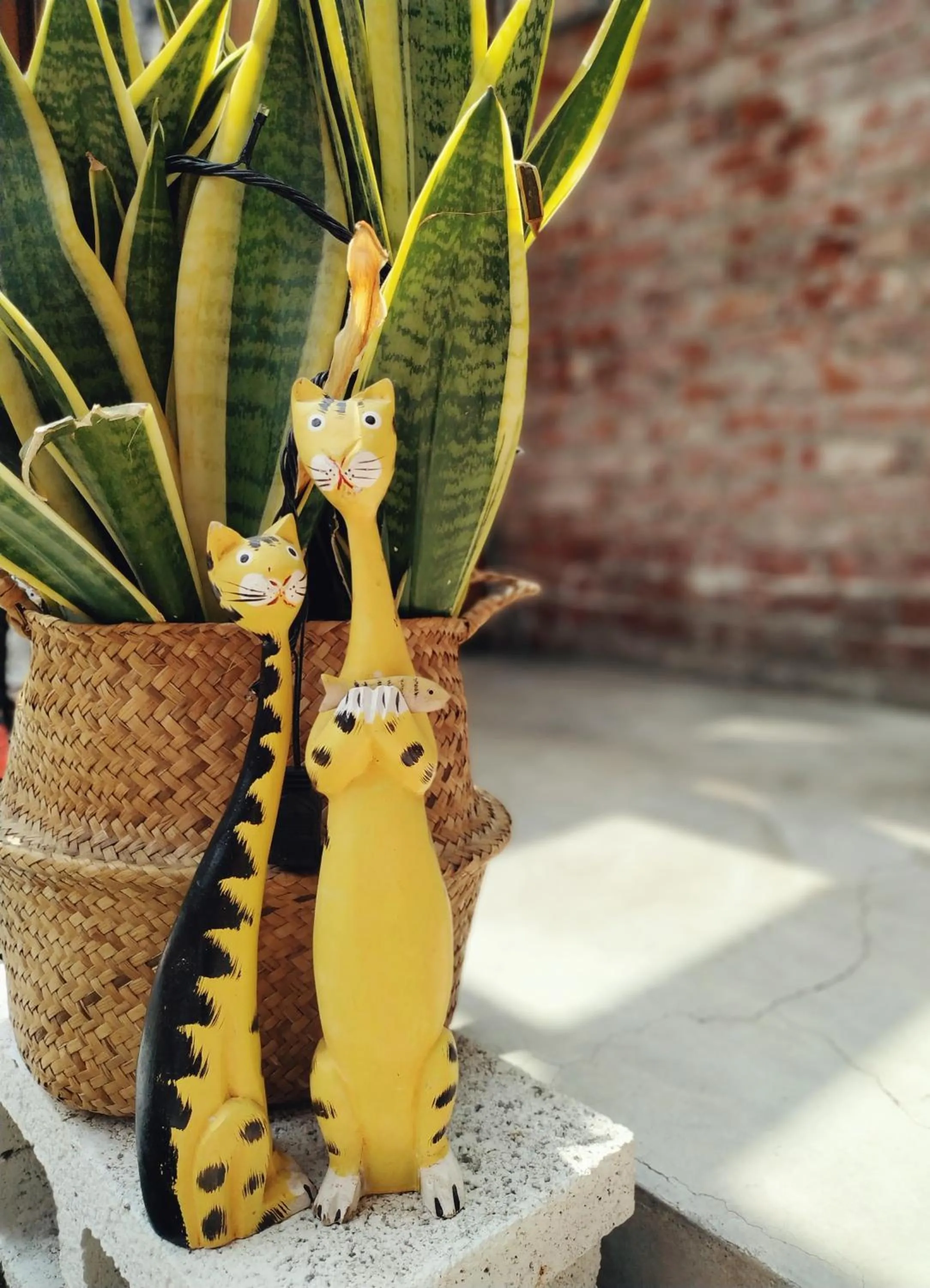 Garden in GOIN Old House & Bar