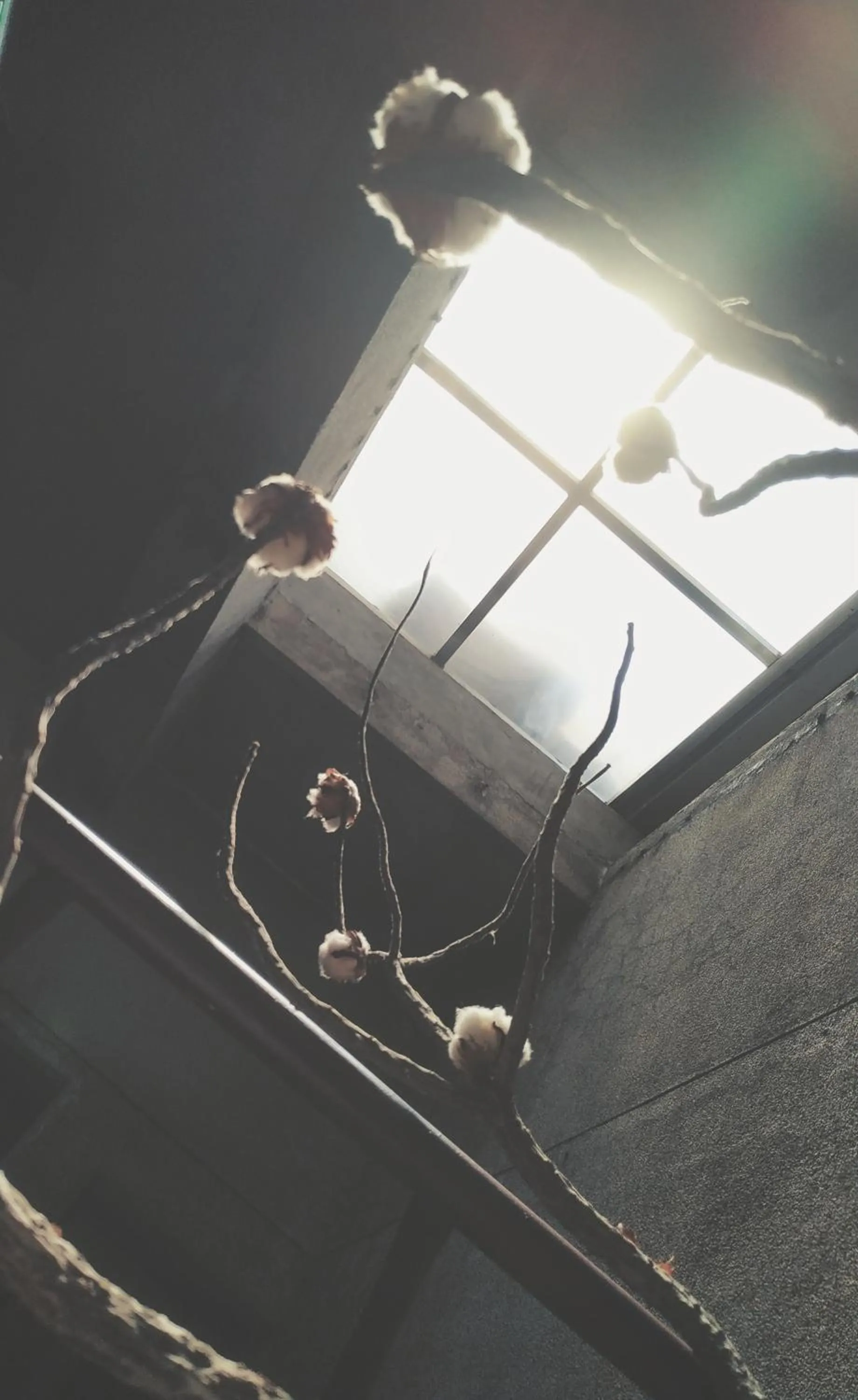 Decorative detail in GOIN Old House & Bar