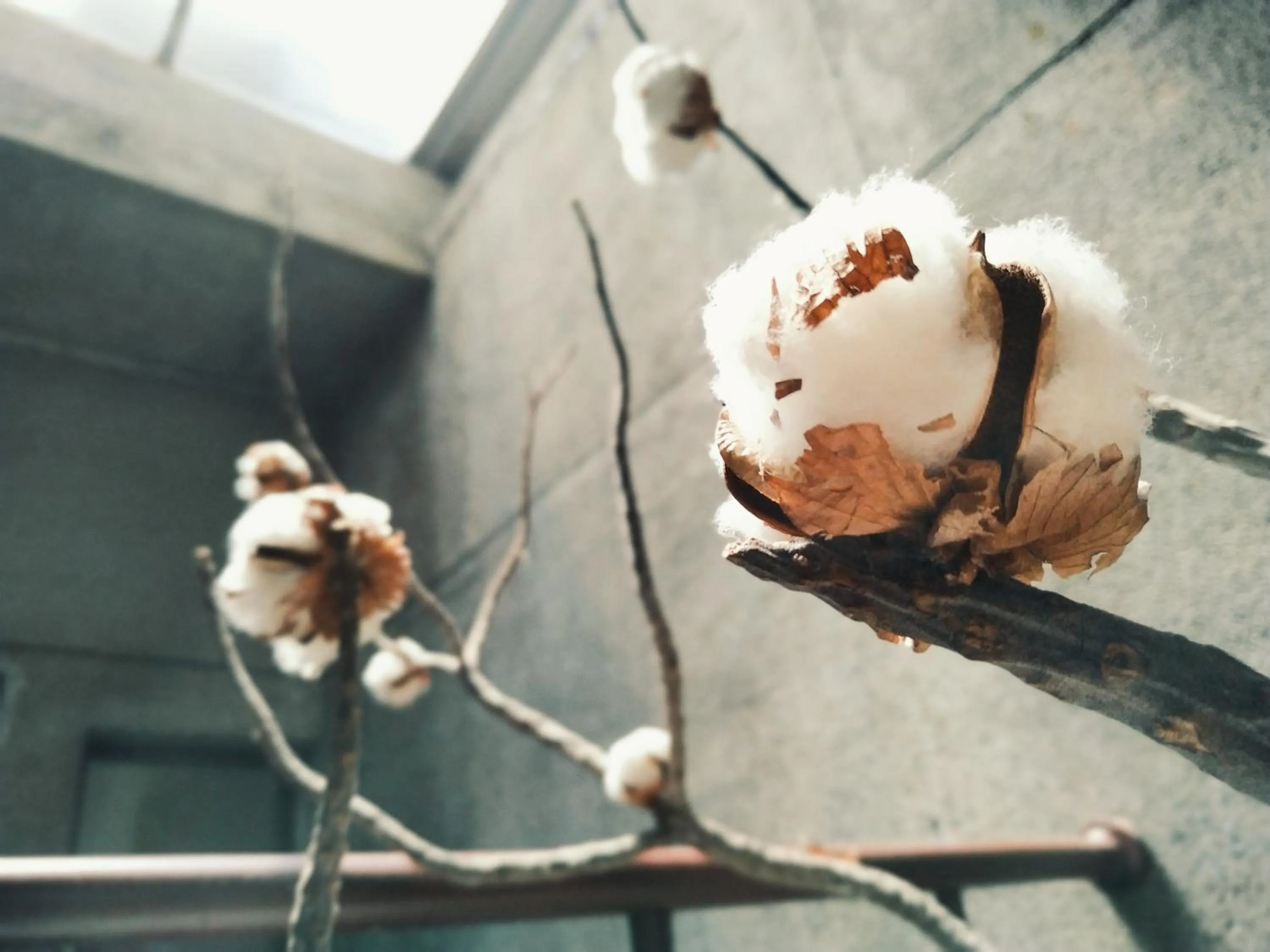 Decorative detail in GOIN Old House & Bar